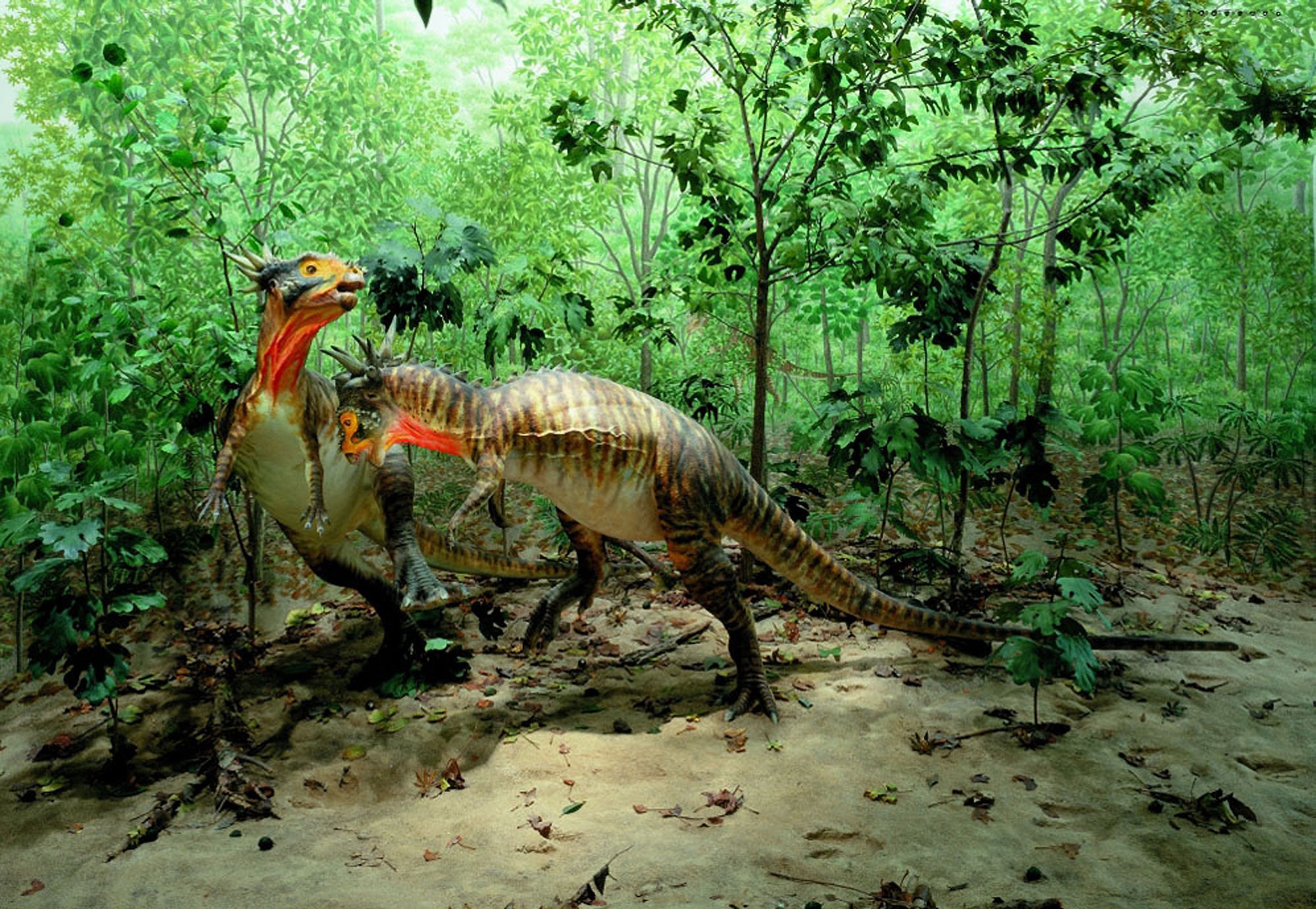 Динозавры жили миллионов лет назад. Динозавры. Среда обитания динозавров. Динозавры вымерли. Динозавры на земле.