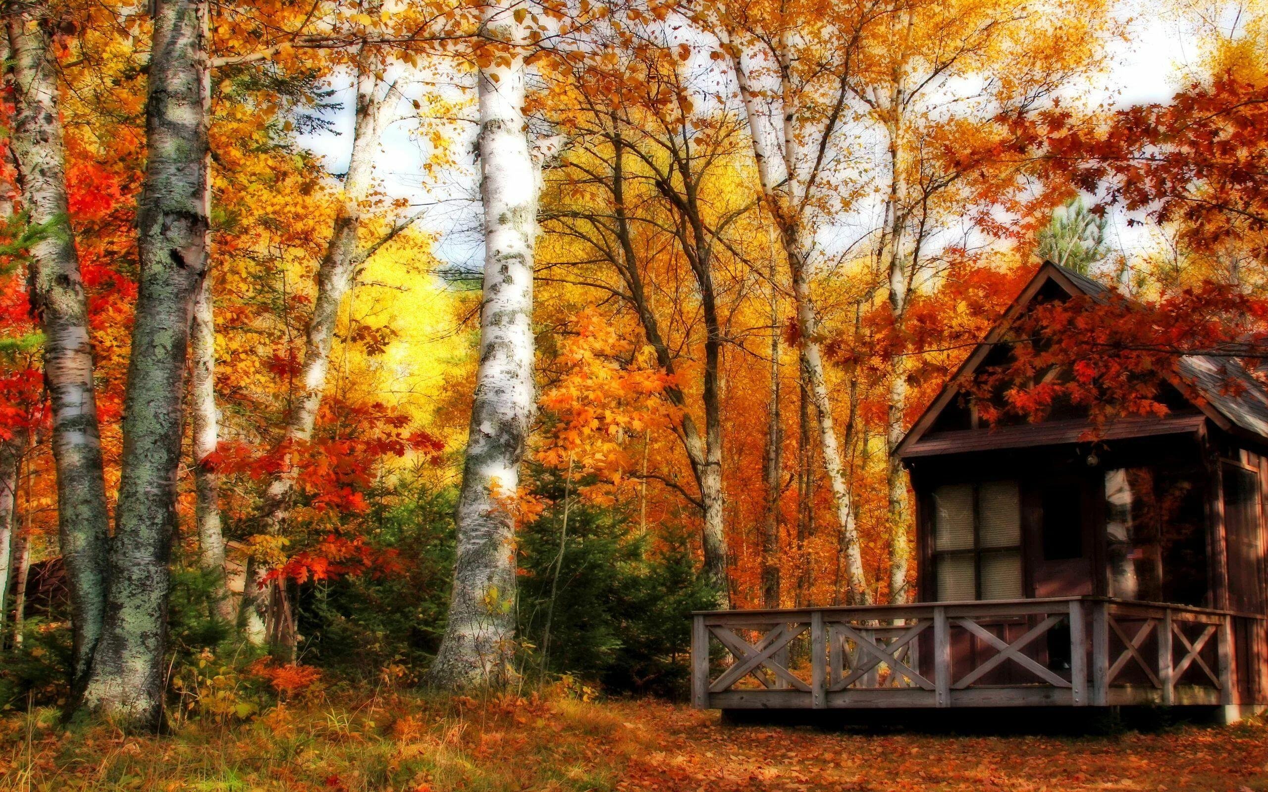 Домик в лесу осенью