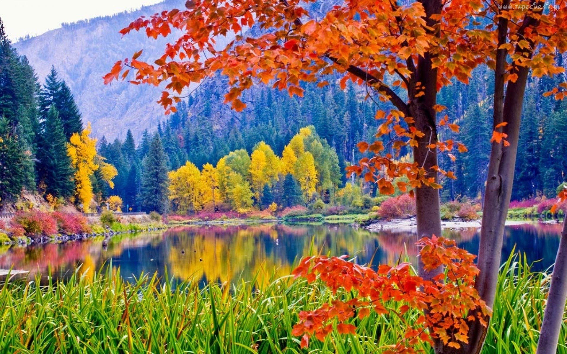 Осень очень красива. Красивая осень. Природа. Осенняя природа. Осенний пейзаж.