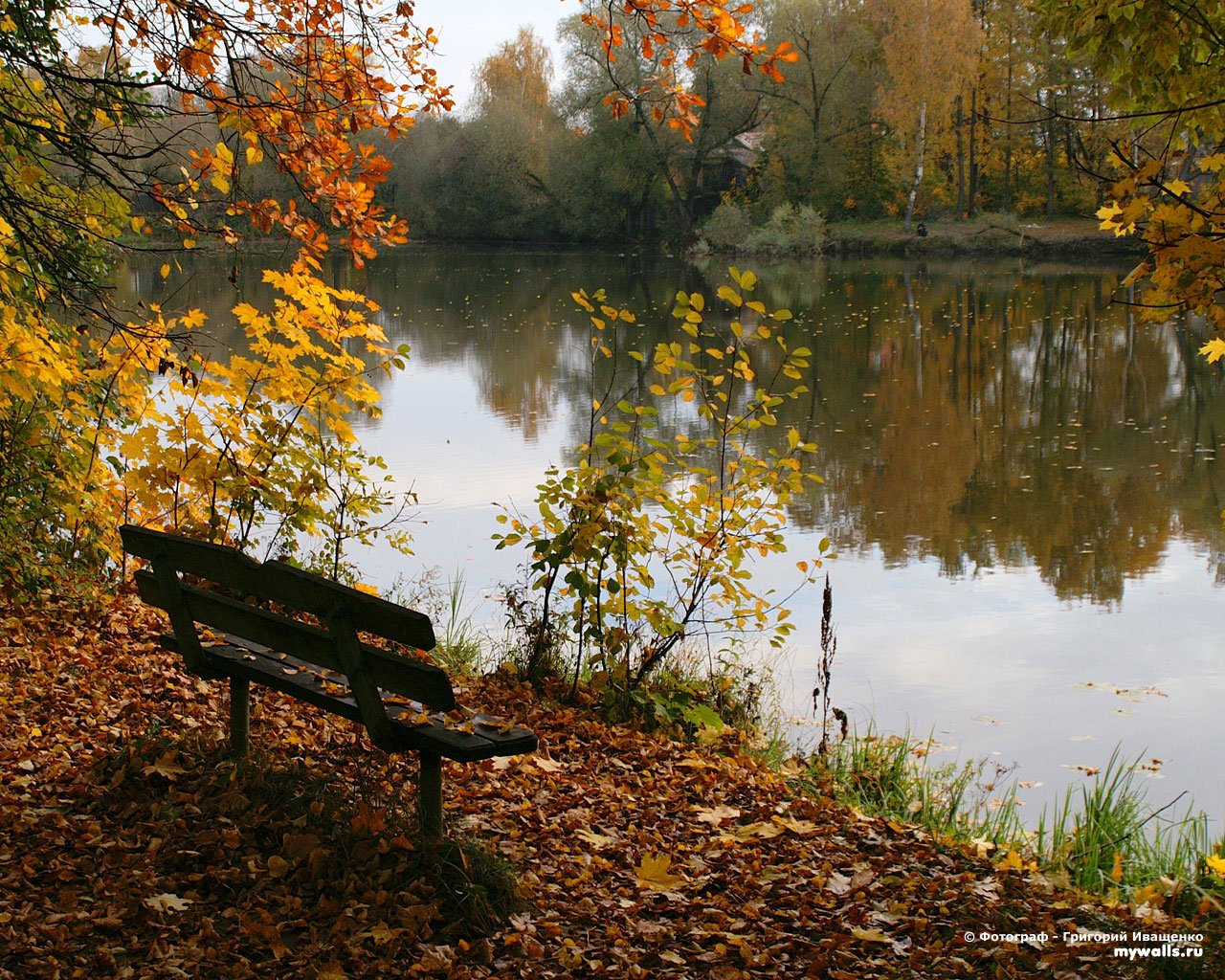 В тиши ясного летнего. Болдинская осень. Осеннее озеро. Осенний пейзаж у реки.
