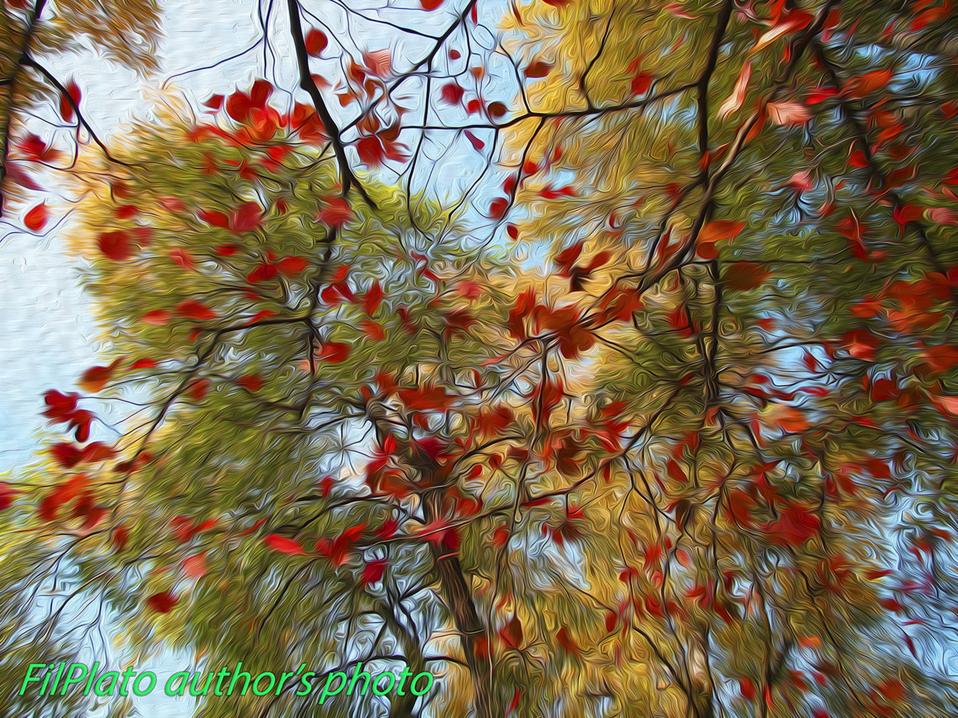Слушая гул осеннего ветра. Осенний ветер. Осень ветер. Осенний ветер багряные листья Геншин. Стиль осенний ветер.