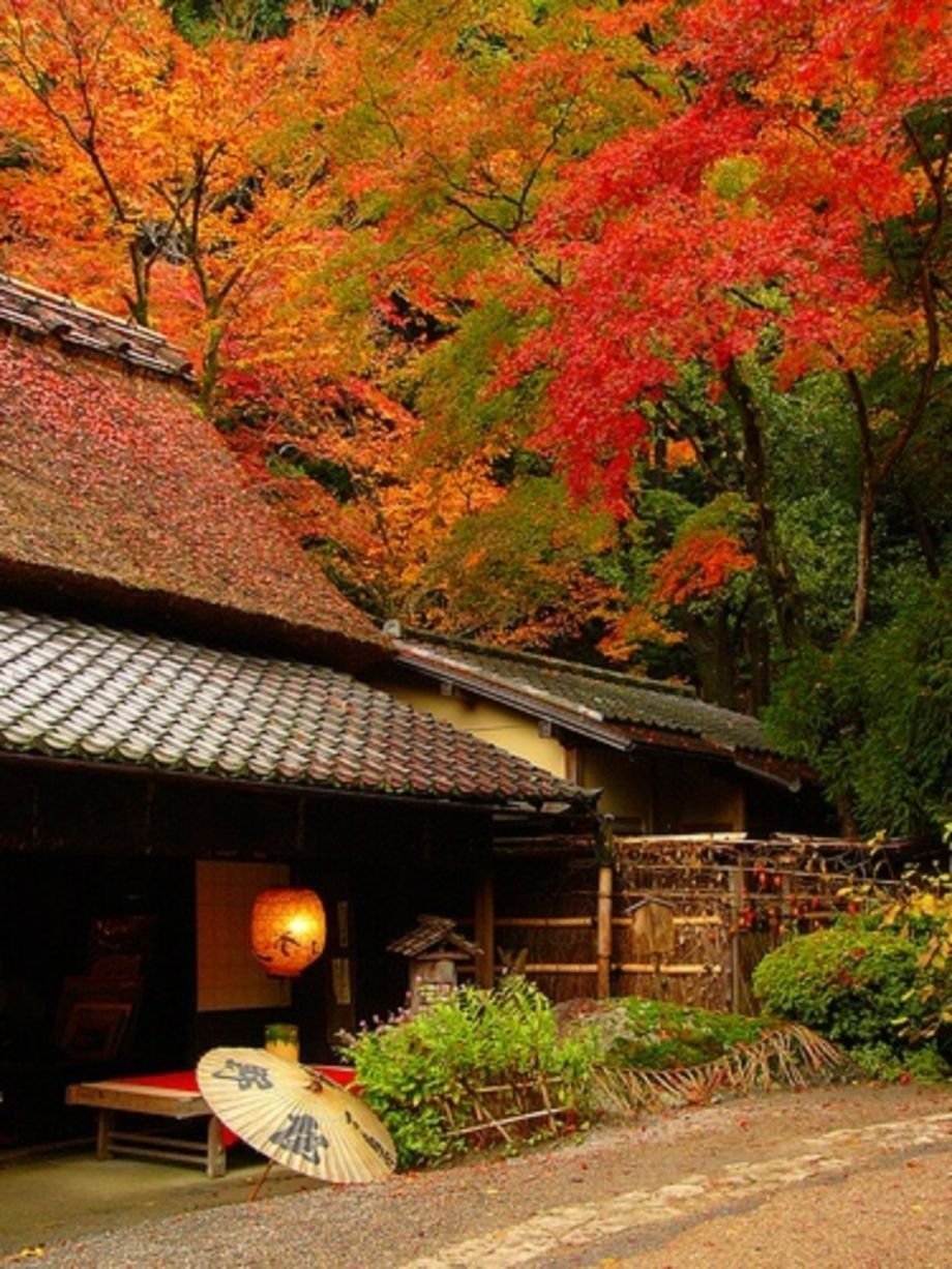 Киото япония. Сады Киото. Японский сад Киото. Осень сад Киото Япония.