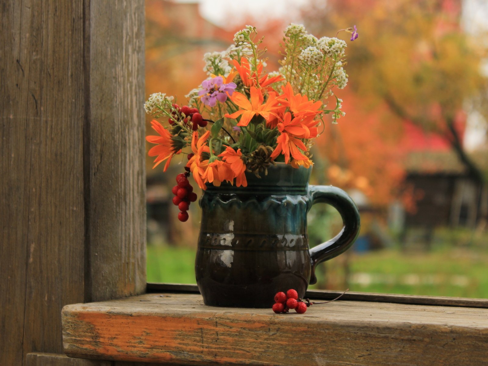 Осеннее утро картинки красивые. Уютные осенние цветы. Цветы на подоконнике осенью. Осенняя композиция на рабочий стол. Осень уют.