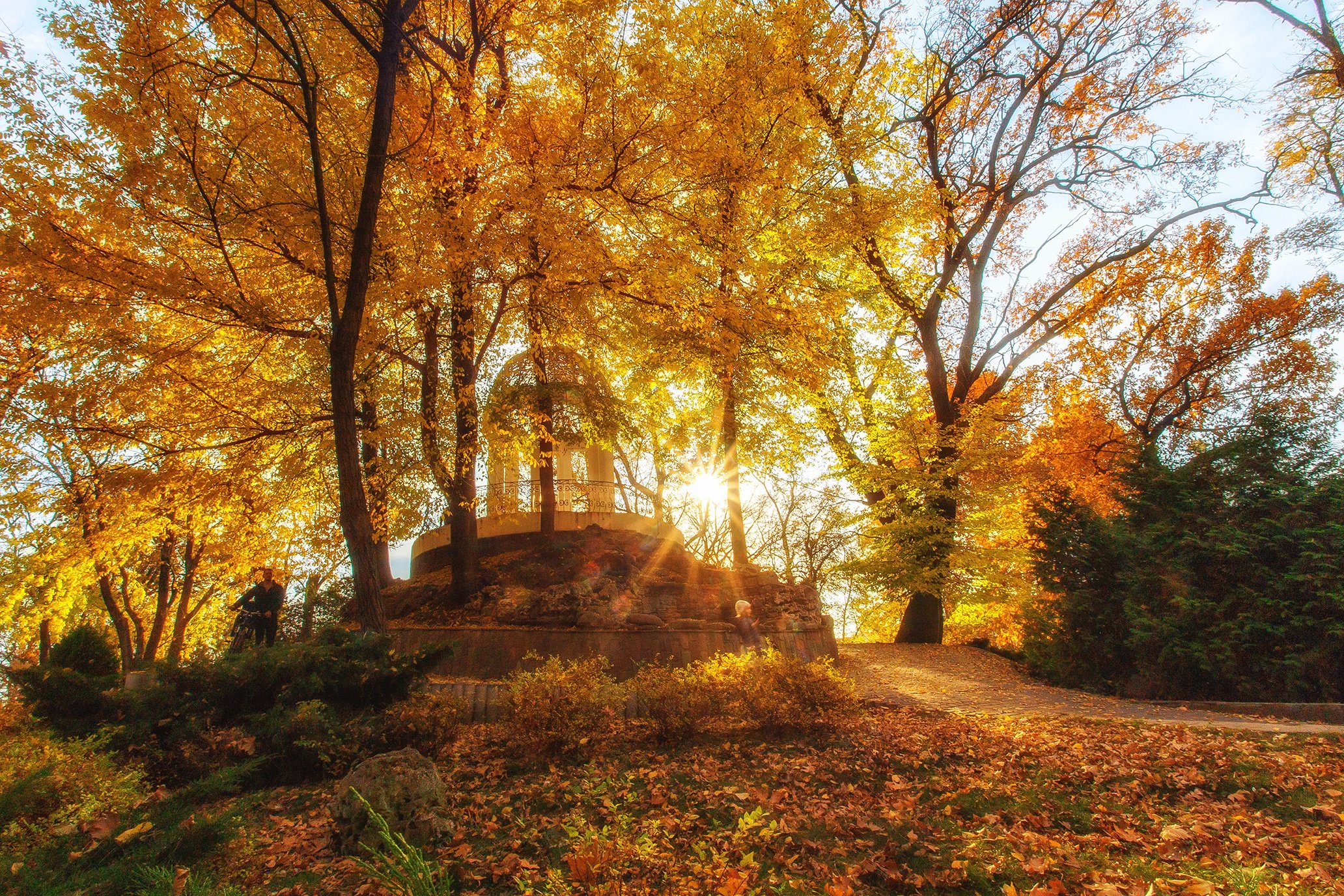 Солнечный парк Краснодар осень