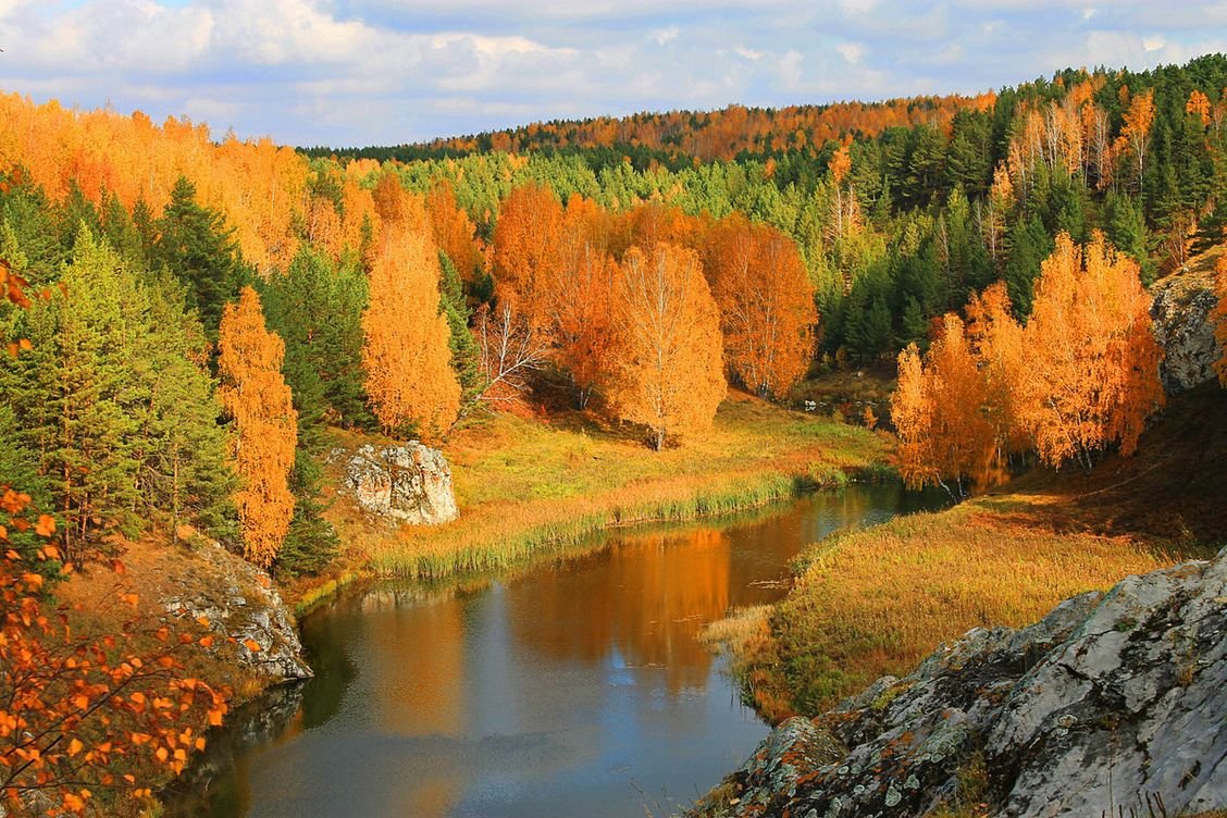 Золотая осень в Сибири - 47 фото