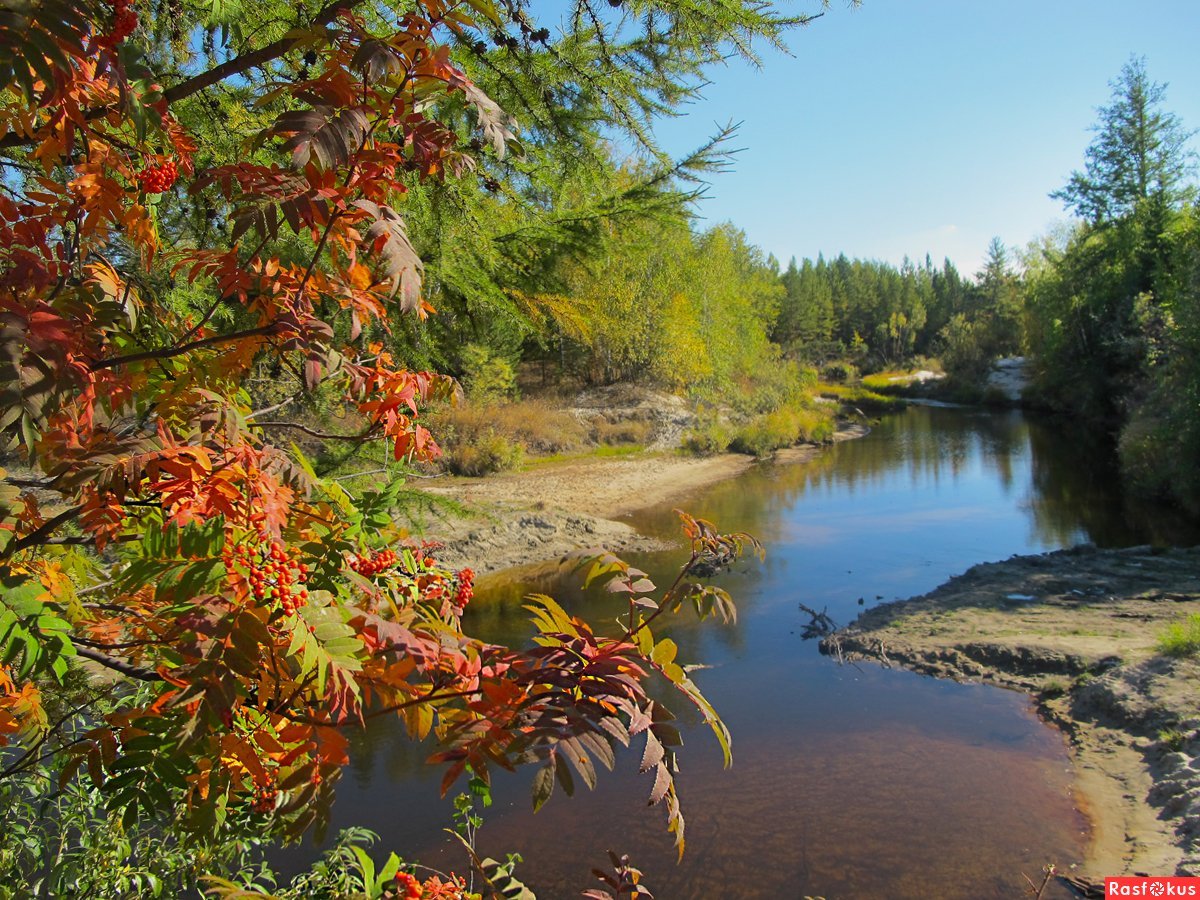Осенний пейзаж Якутии