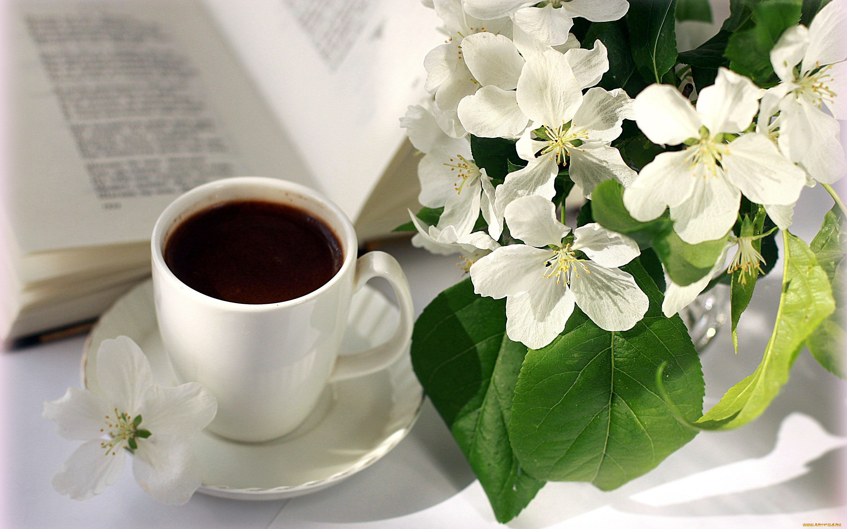 Весенняя чашка чая. Кофе и цветы. Доброе Весеннее утро с кофе и цветами. Кофе с цветами.