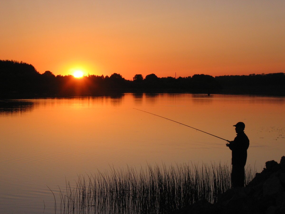 Озеро удочка рыбалка. Рыбак на закате. Красивая природа рыбалка. Рыбак на природе. Лето рыбалка.