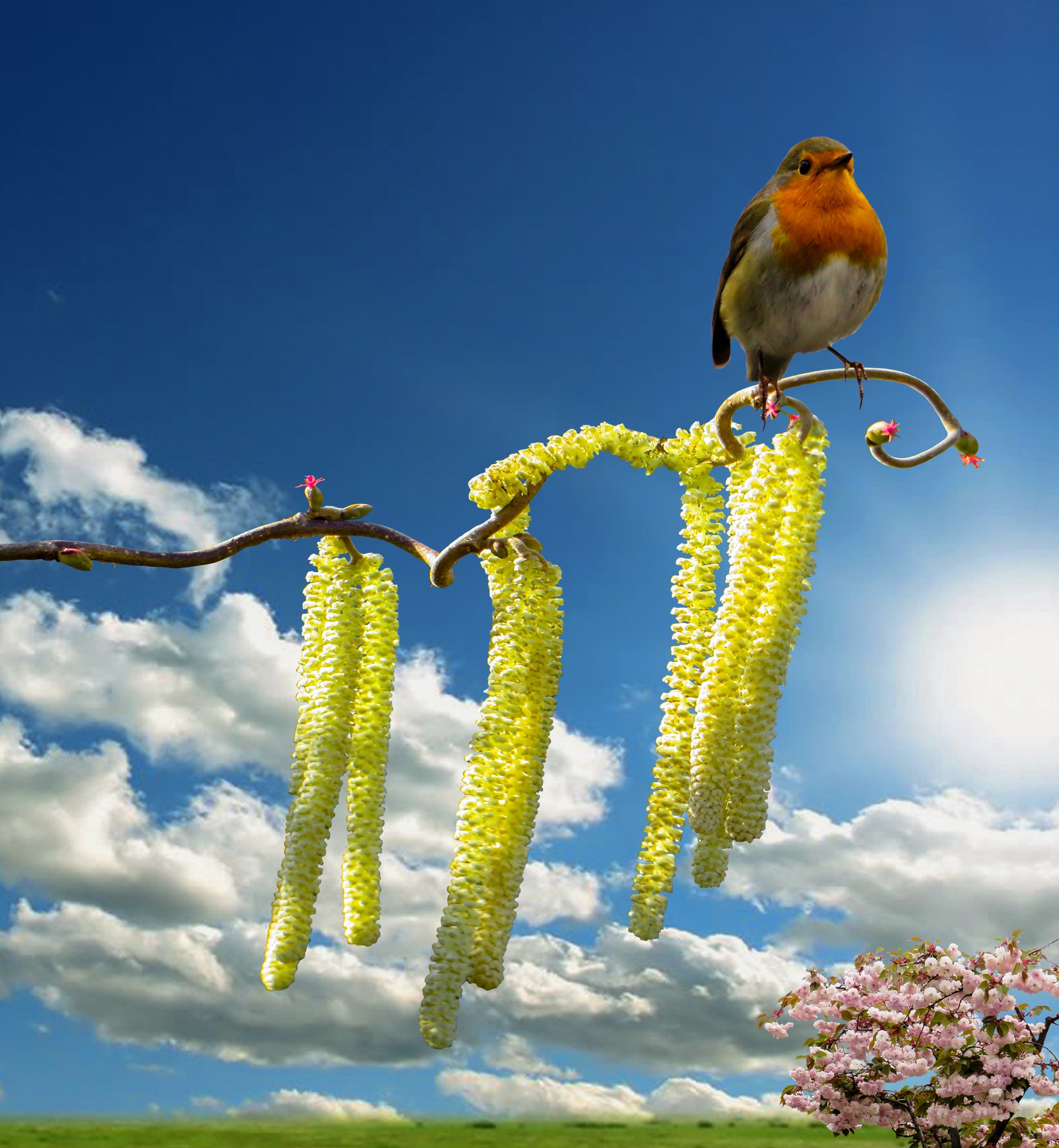 Поют весной птицы весело