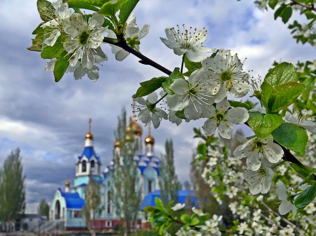 Ярославль весной фото в мае