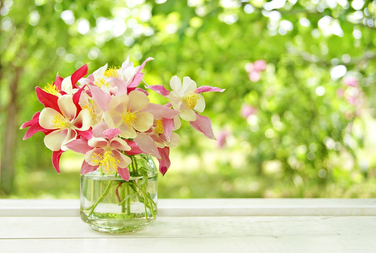 Весеннее настроение солнце. Нежный цветок. Нежный весенний букет. Цветочки в вазе. Весенние цветы в вазе.