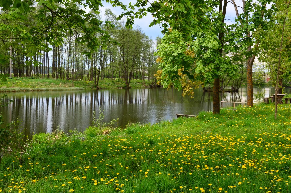 Природа Белоруссии Весна
