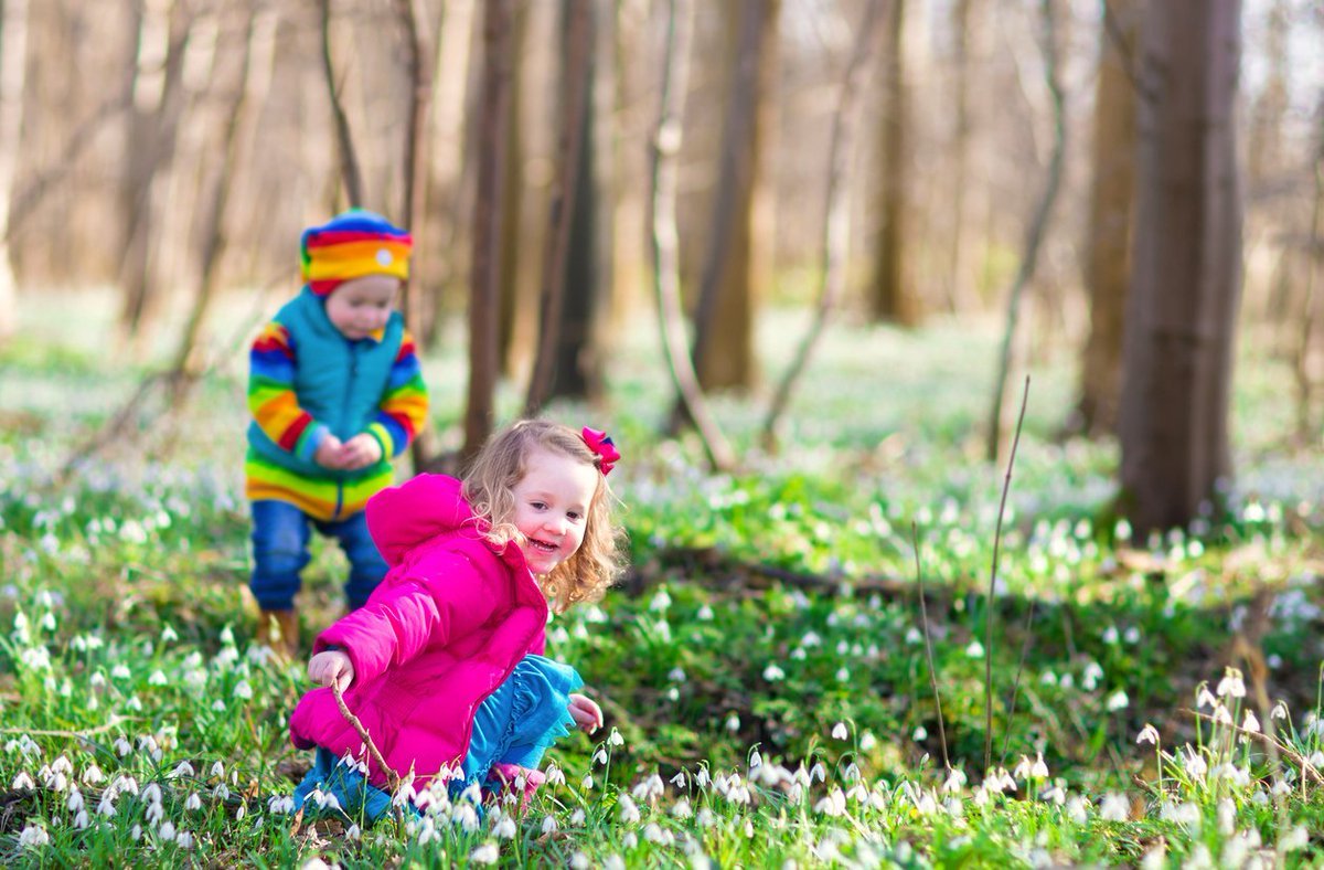 Весна природа для детей