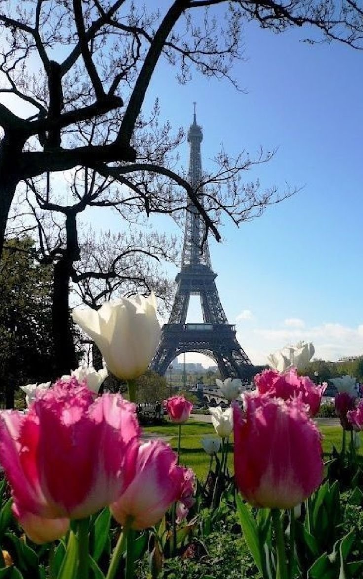 Эйфелева башня Франция цветы