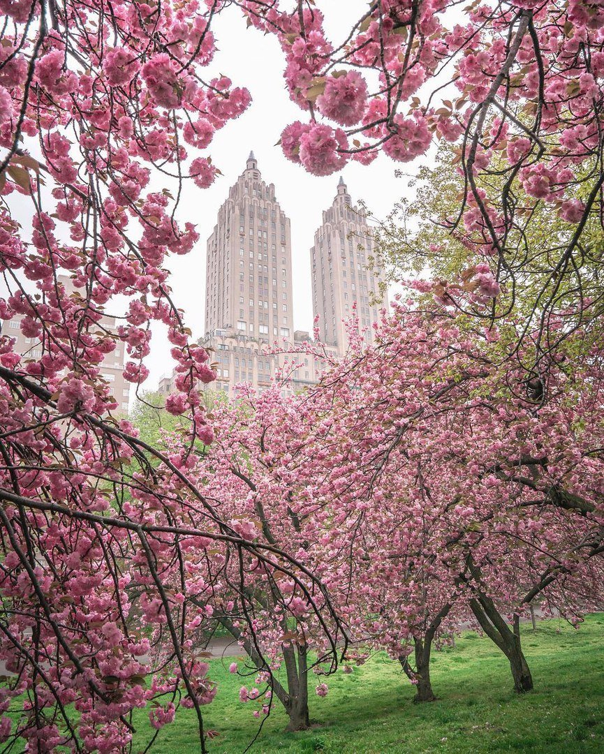 Весна в нью йорке фото