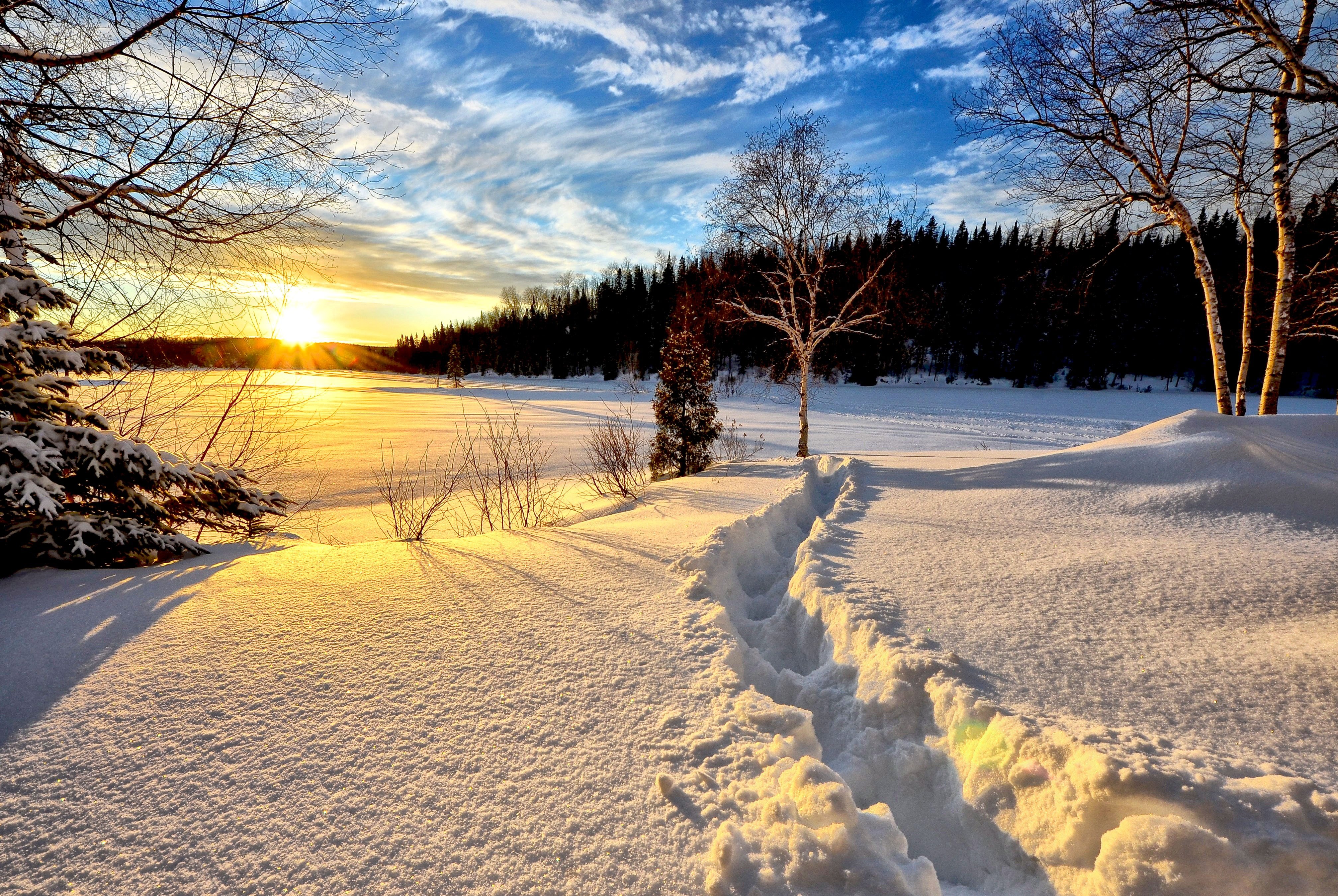 Январский день. Зимний пейзаж. Зима солнце. Зимняя природа. Декабрь природа.