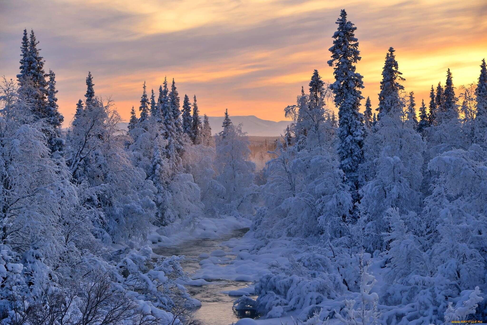 Зима. Природа Сибири зимой. Зима пейзаж. Зимняя красота. Зимний лес.