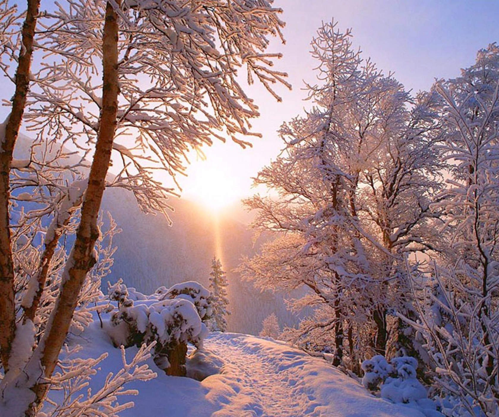 Январский день. Утро зимой. Морозный Солнечный день. Зимнее утро картинки. Солнечный зимний день.