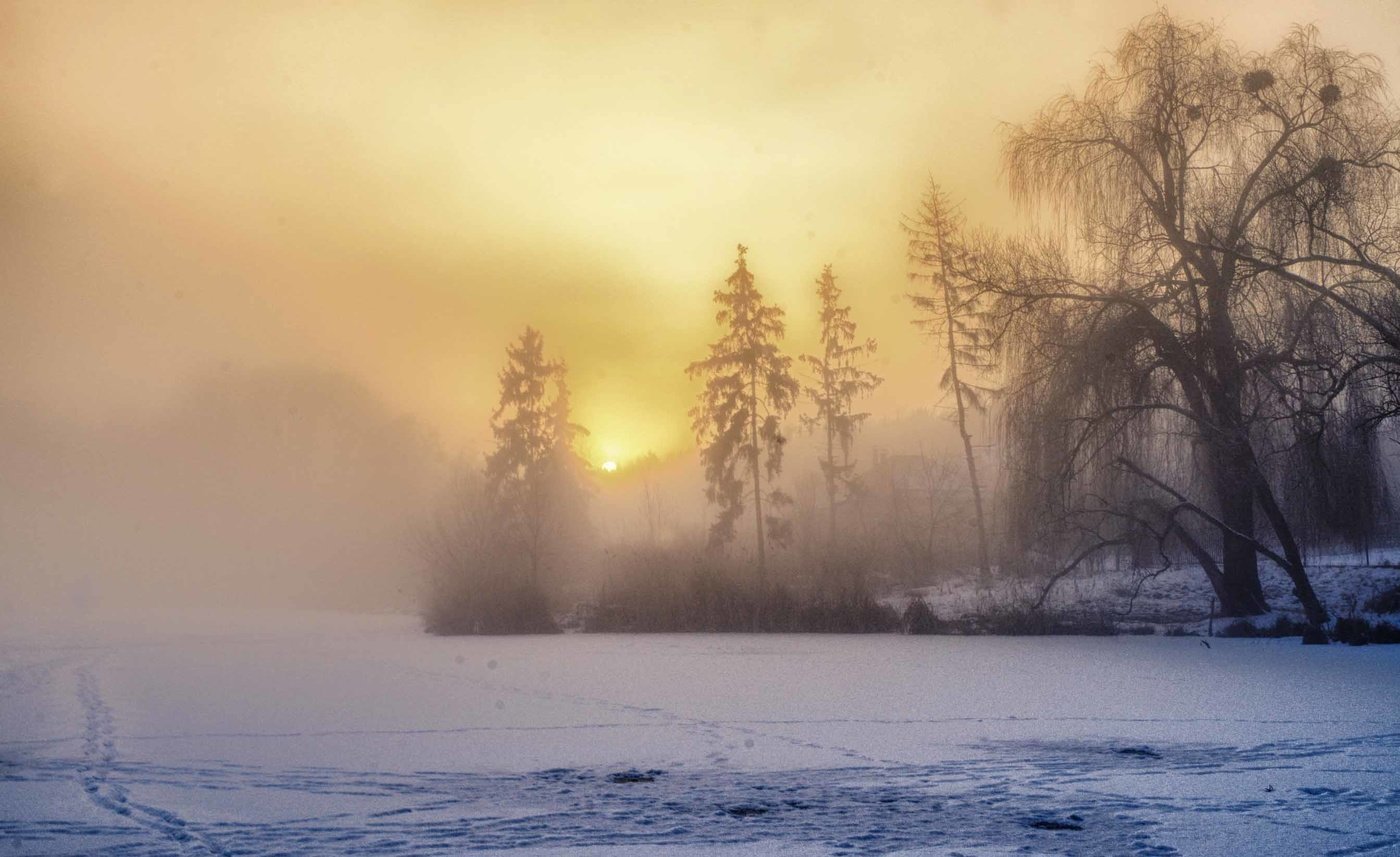 Сильный утренний мороз. Зимнее утро. Зима туман. Морозное утро. Зимний пейзаж с туманом.