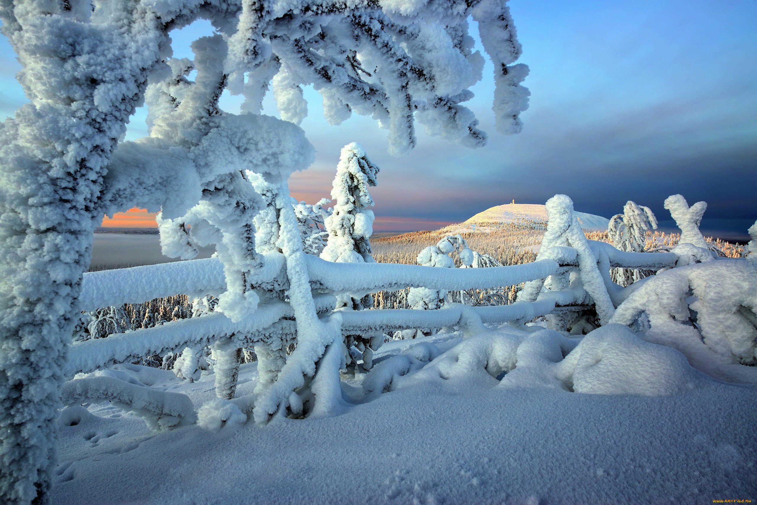 Январские сугробы. Сугробы зимой. Зимняя природа. Финляндия природа зимой. Красивые сугробы.