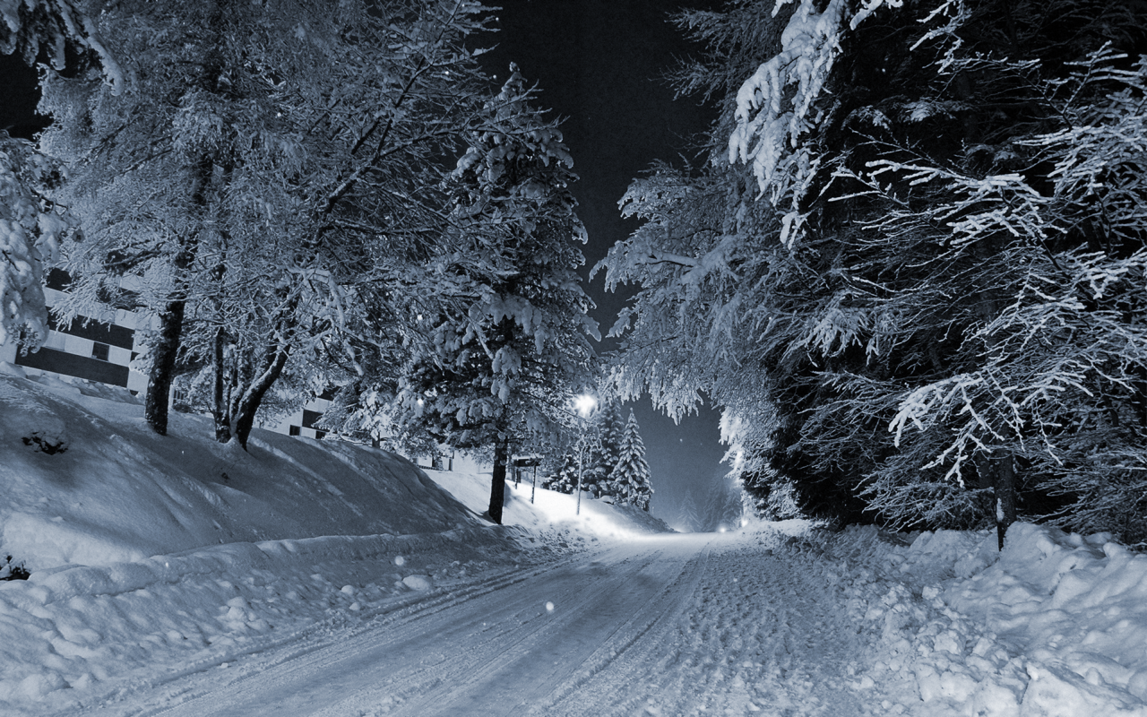 Снежок пк. Красивый снегопад. Зимняя дорога в лесу. Ночной зимний лес. Зимняя дорога в лесу ночью.