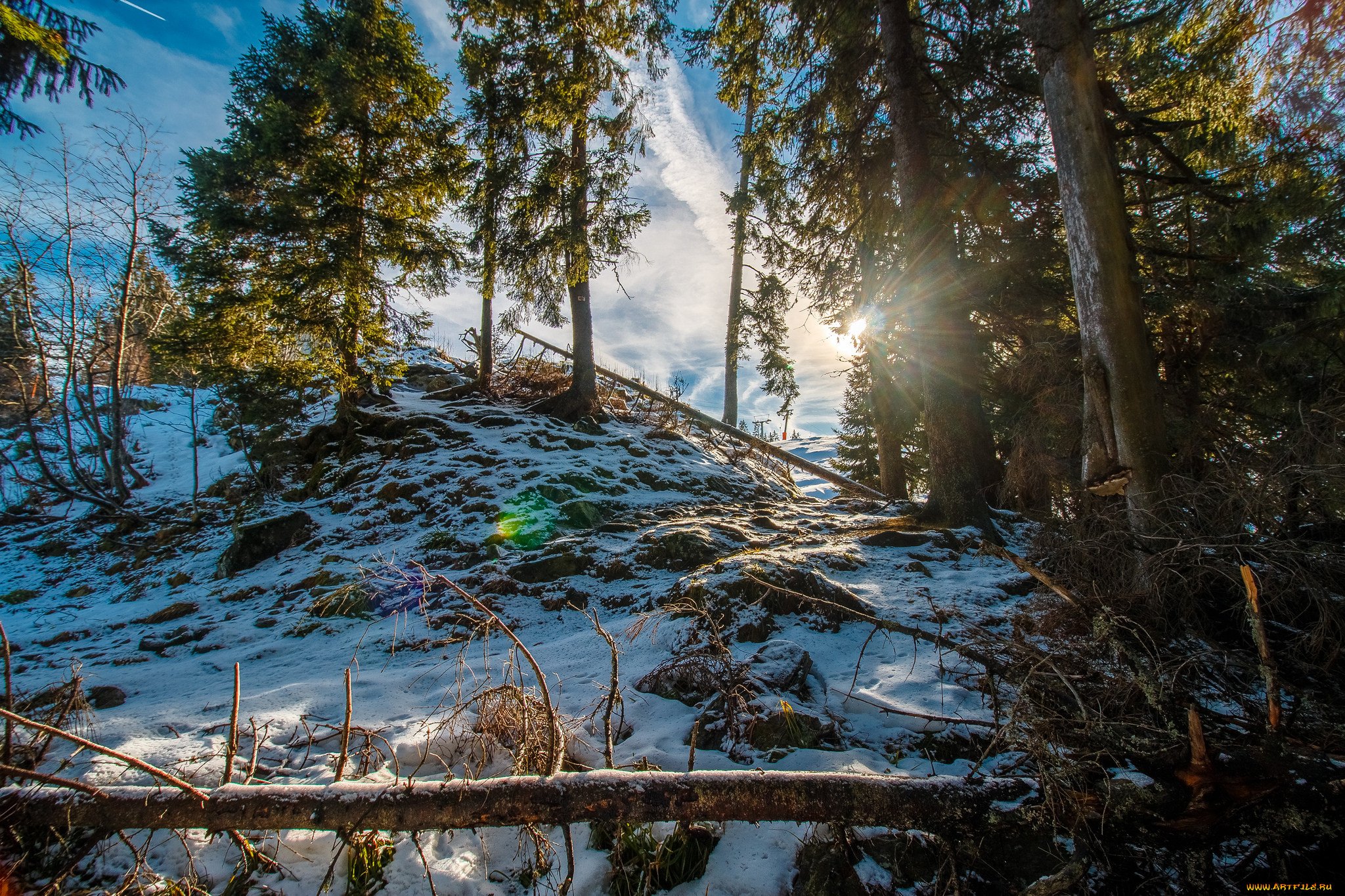 Звуки природы зимой. Линдуловская роща зимой. Карелия зимой. Выборг природа зимой. Линдуловская роща фото зима.