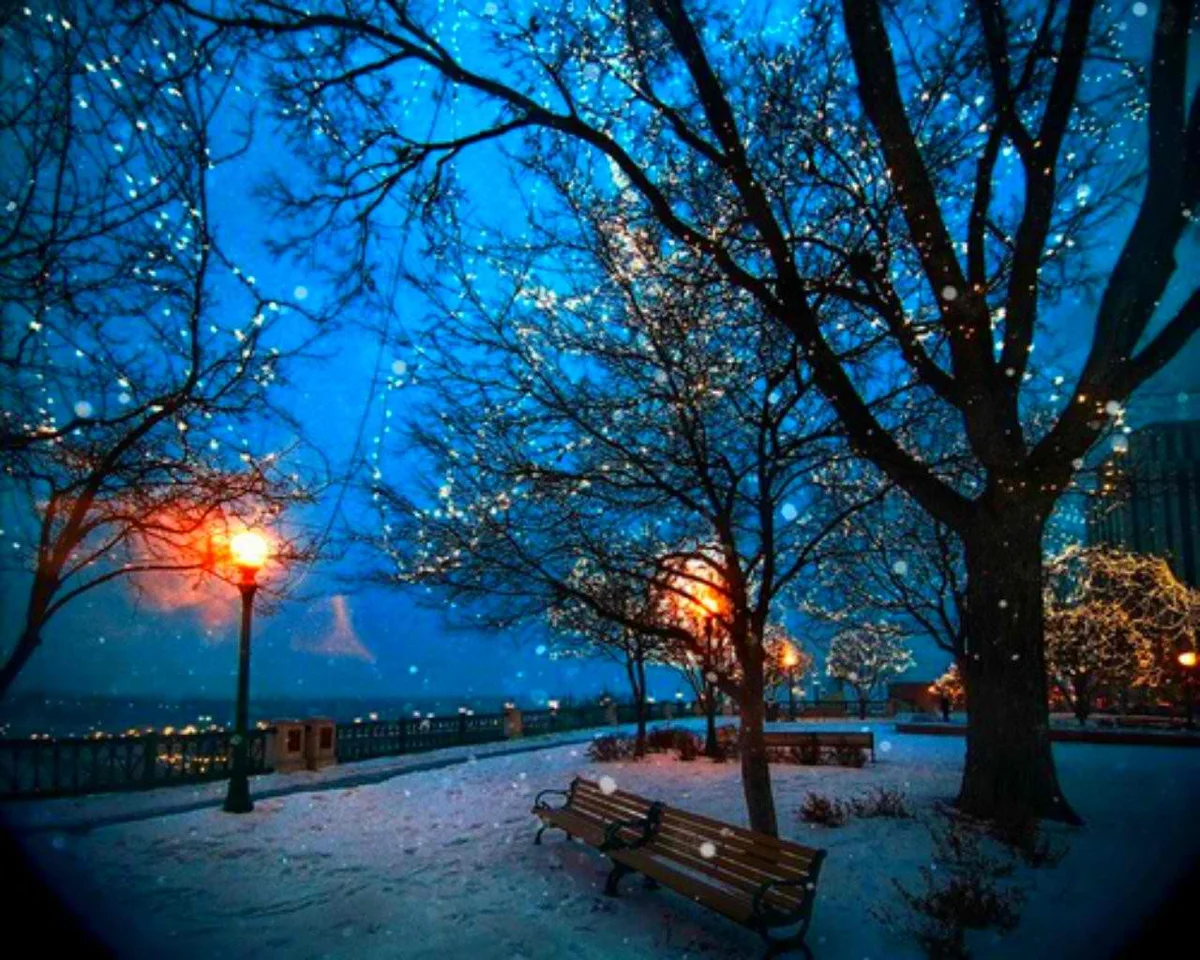Поздний зимний вечер. Зима в городе. Зимний парк ночью. Зимняя ночь в городе. Зима. К вечеру.