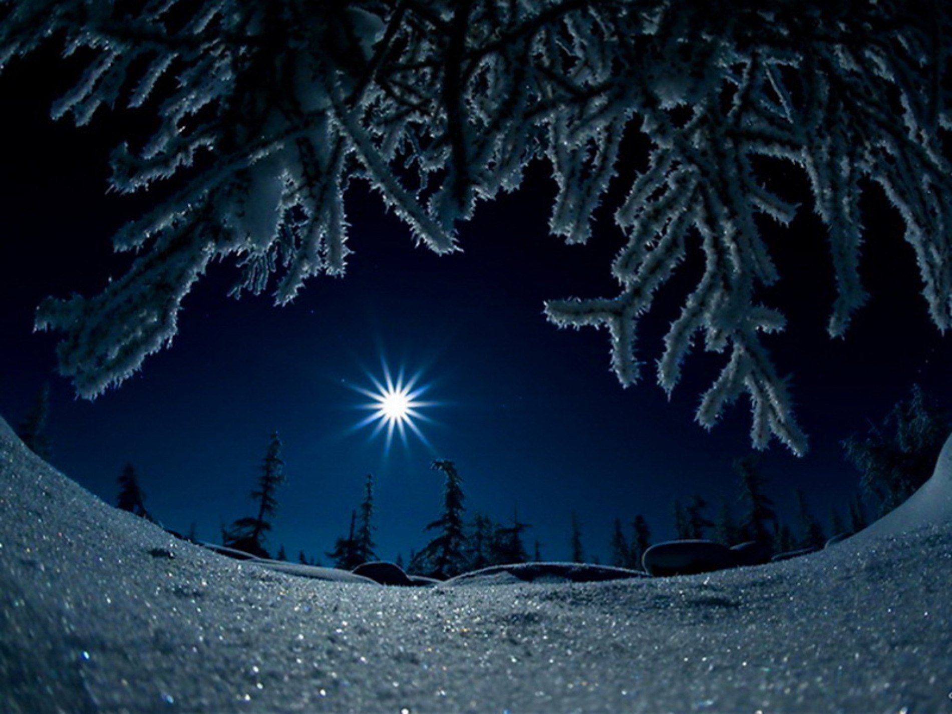 Луна зимой ночью. Зима ночь. Зимний ночной пейзаж. Снег ночью. Красивая зимняя ночь.