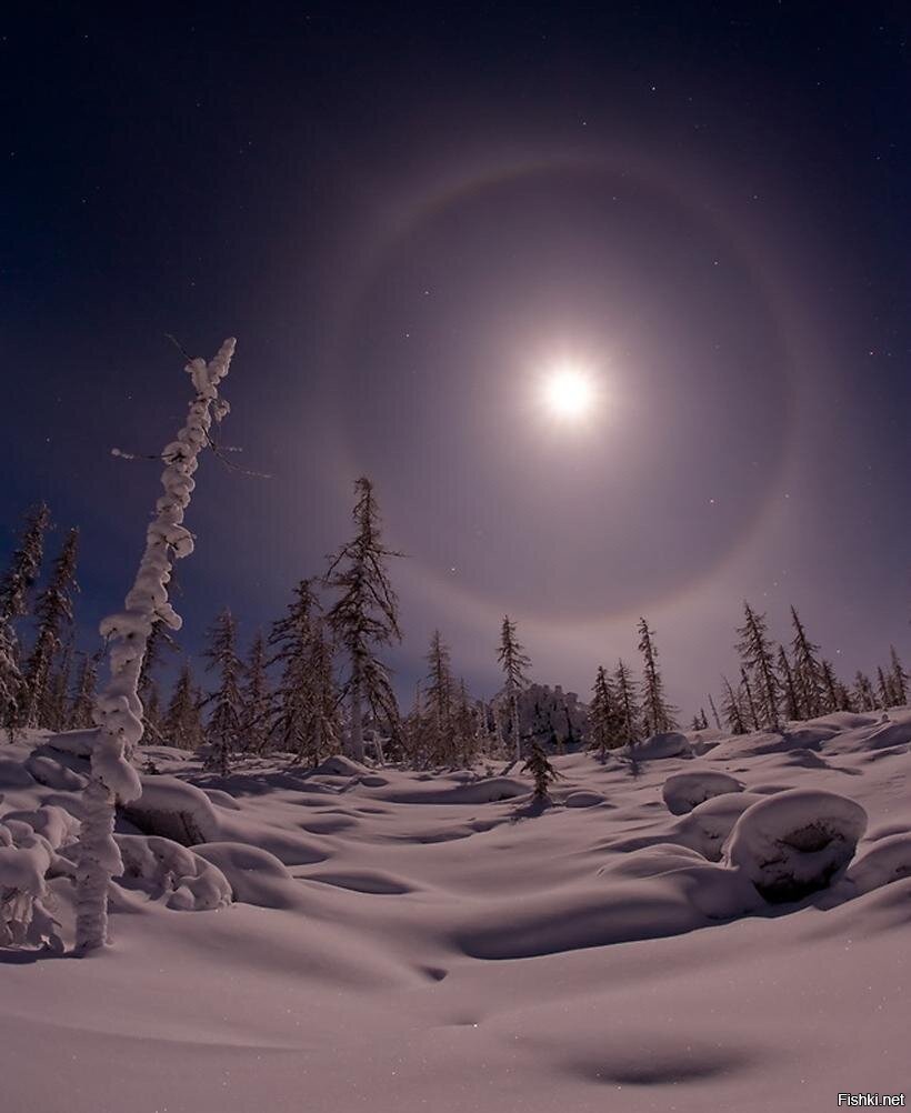 Луна зимой ночью. Северное сияние солнечное гало. Гало сияние. Морозное гало Сибирь. Гало тундра.