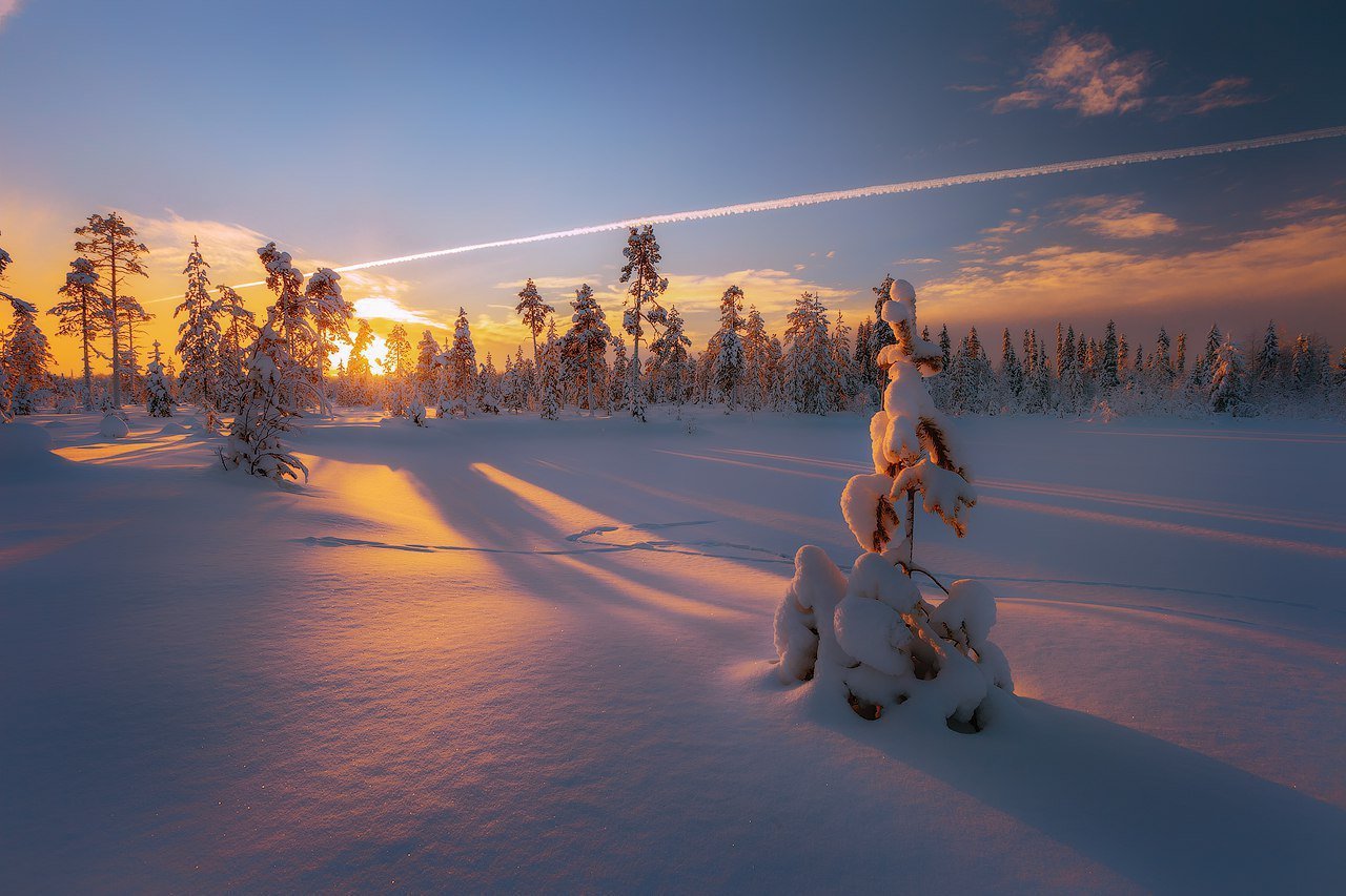 Природа русского севера зимой