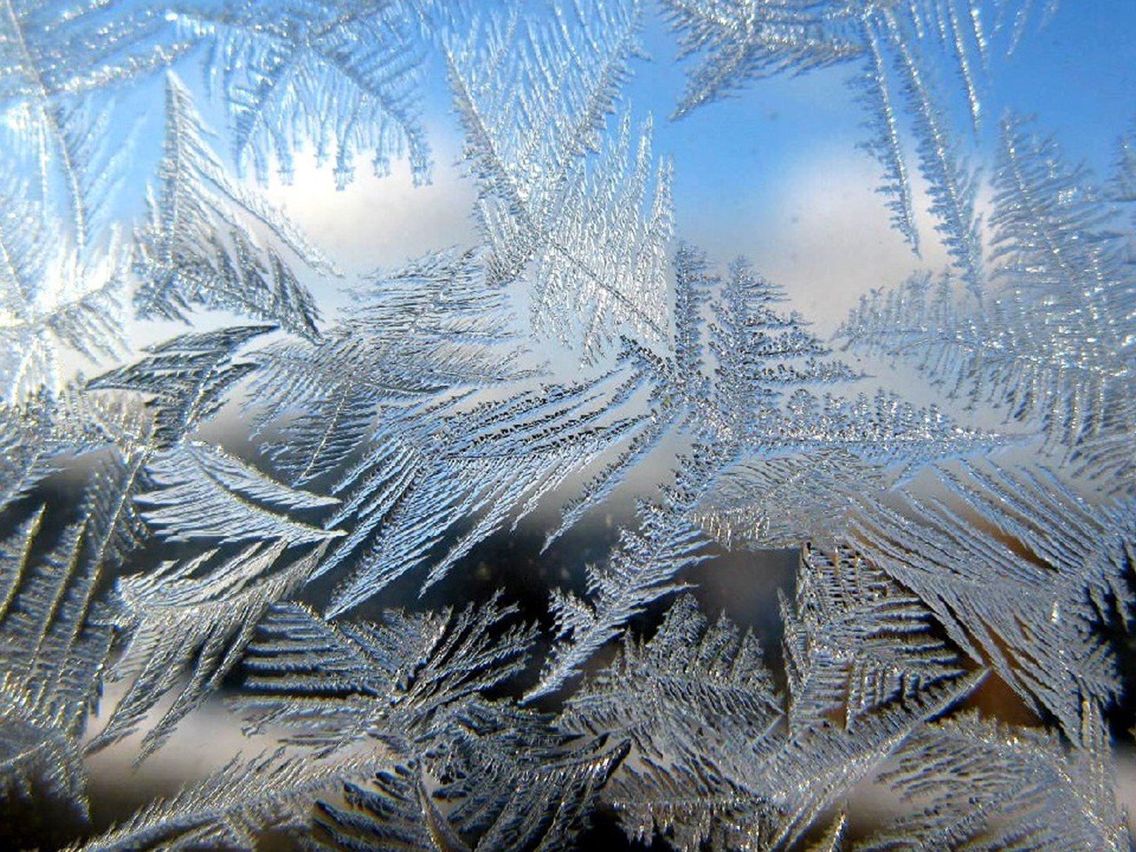 Природная зона продолжительная морозная зима. Зима Мороз. Морозные узоры на стекле. Иней на окне. Снежные узоры.