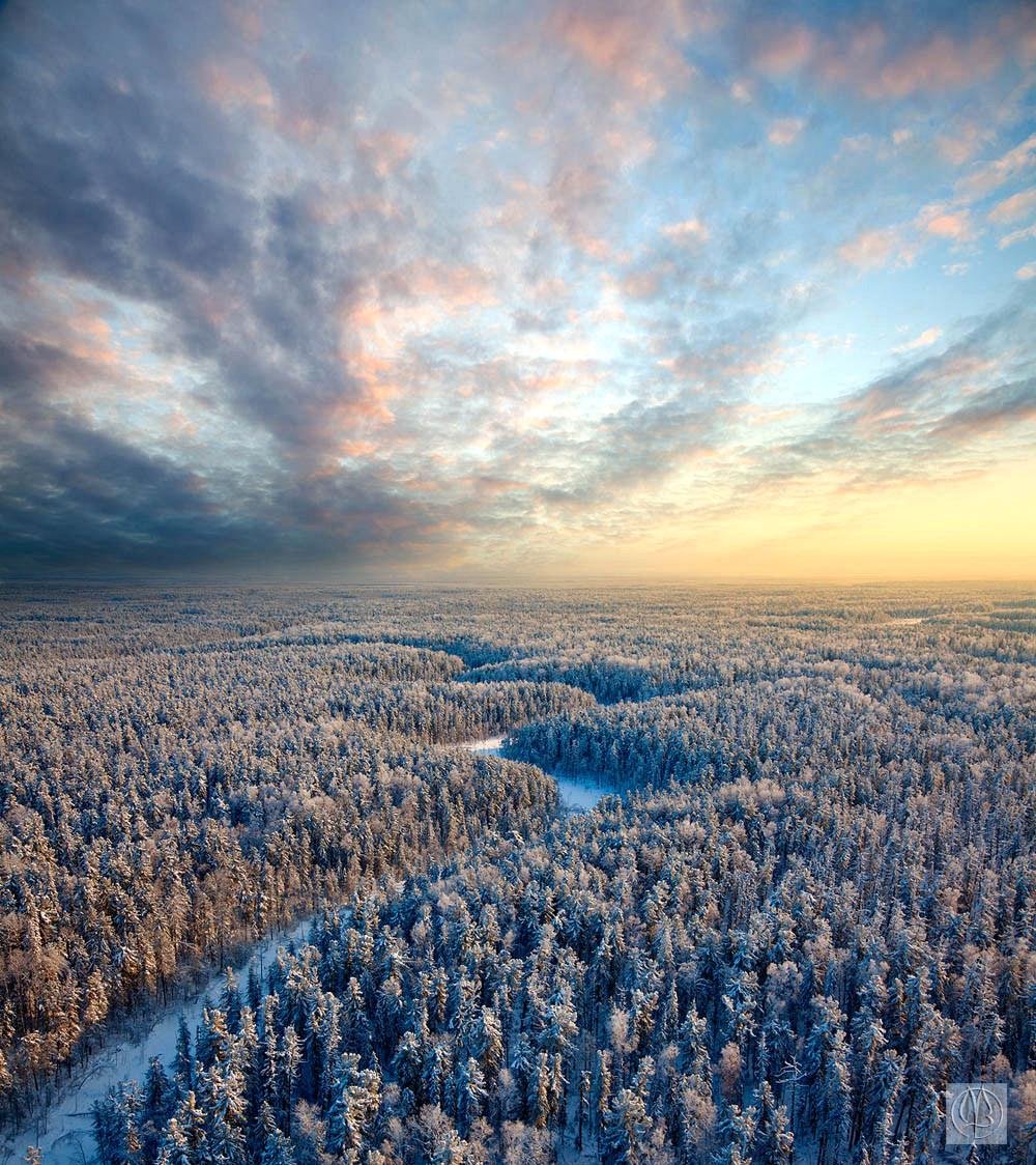 Небо тундры. Бескрайняя Тайга. Лес Тайга Сибирь вид сверху. Природа с высоты. Зимний лес вид сверху.