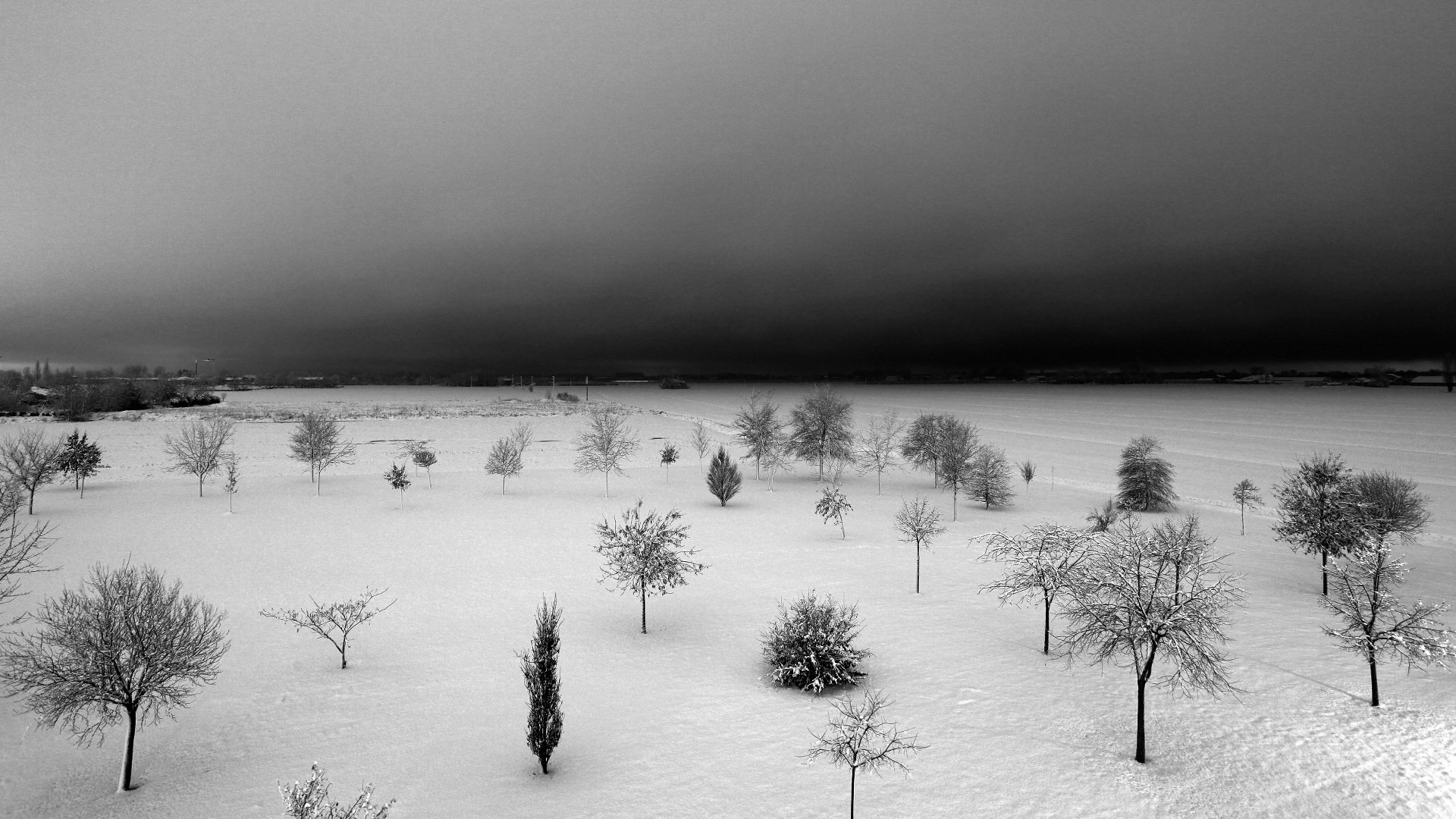 Черные снежки. Черно белая зима. Серый зимний пейзаж. Унылый зимний пейзаж. Унылая зима.