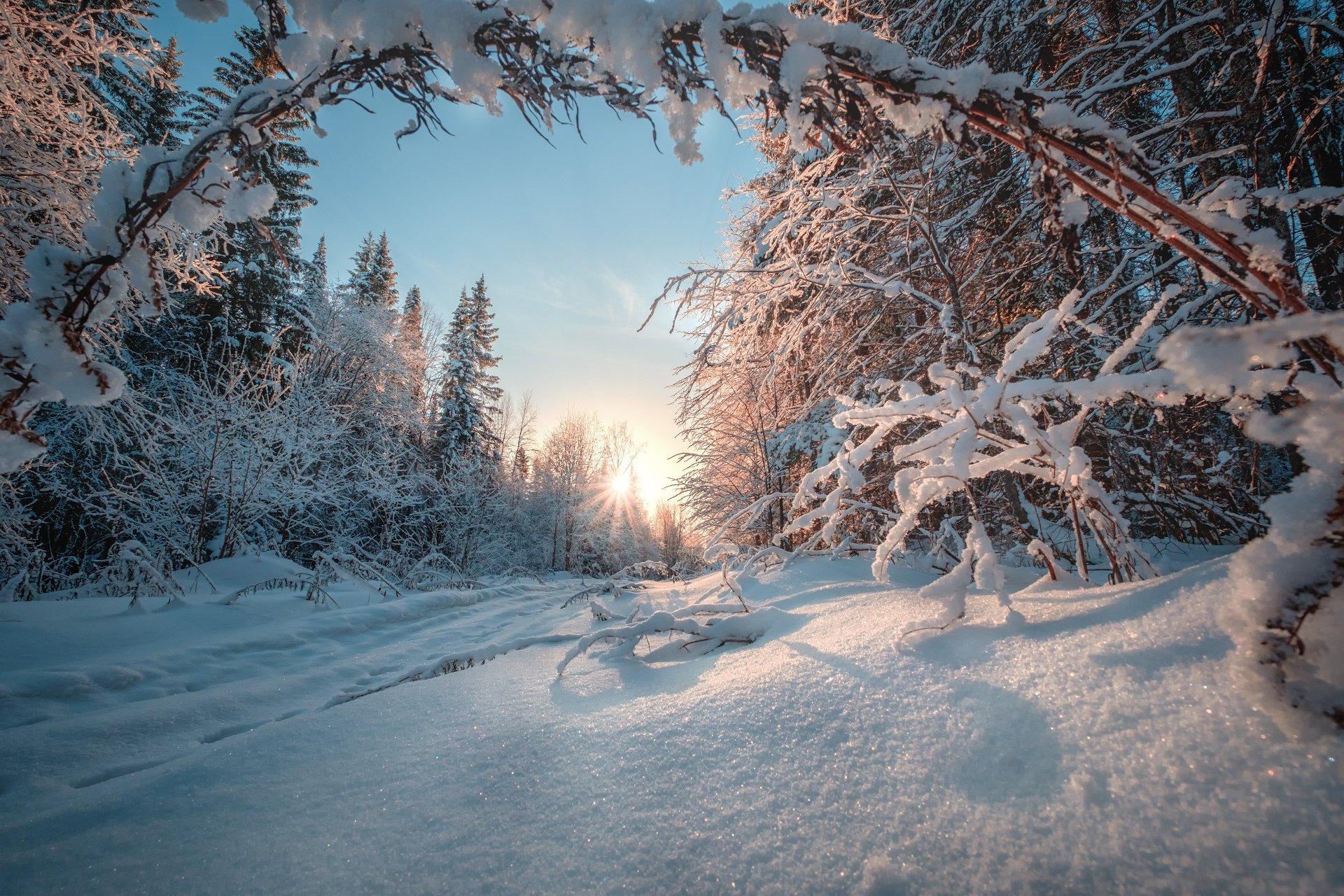 Пейзаж зимы. Зима в лесу. Зима пейзаж. Зима в России. Пейзаж зимний лес.