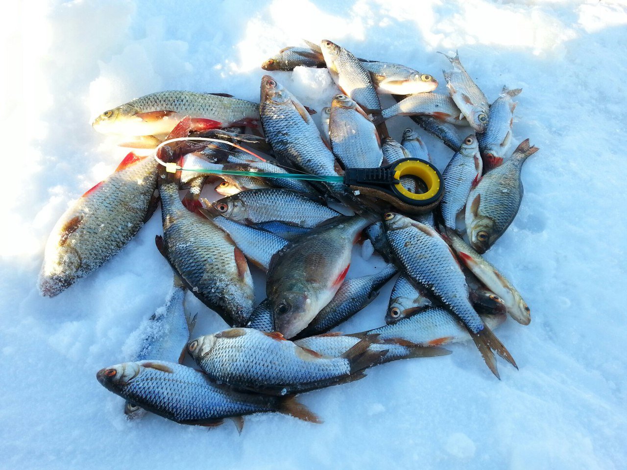 Зимняя рыбалка на безмотылку