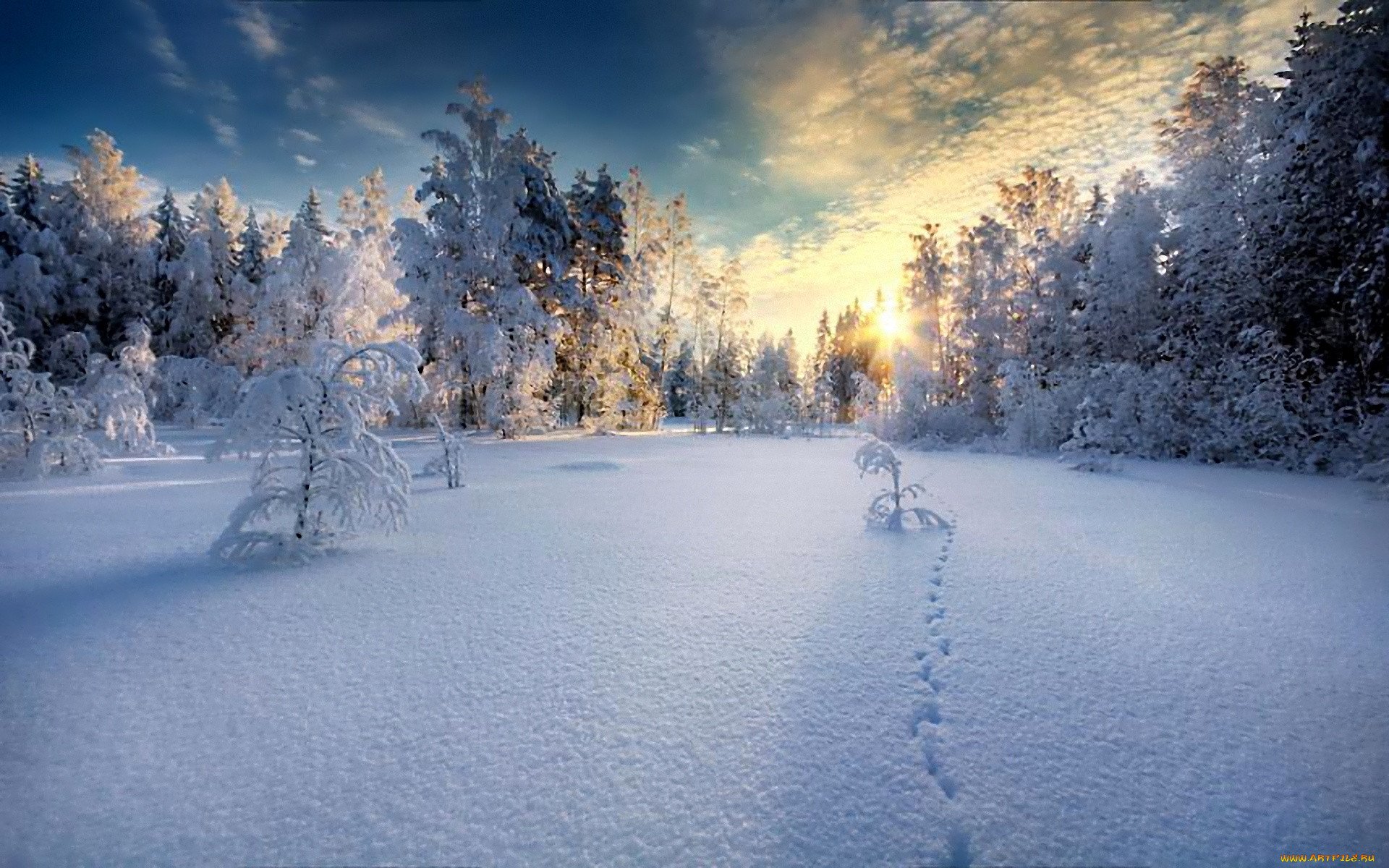 Is winter beautiful. Зимняя природа. Красивая зима. Зима пейзаж. Снежный пейзаж.