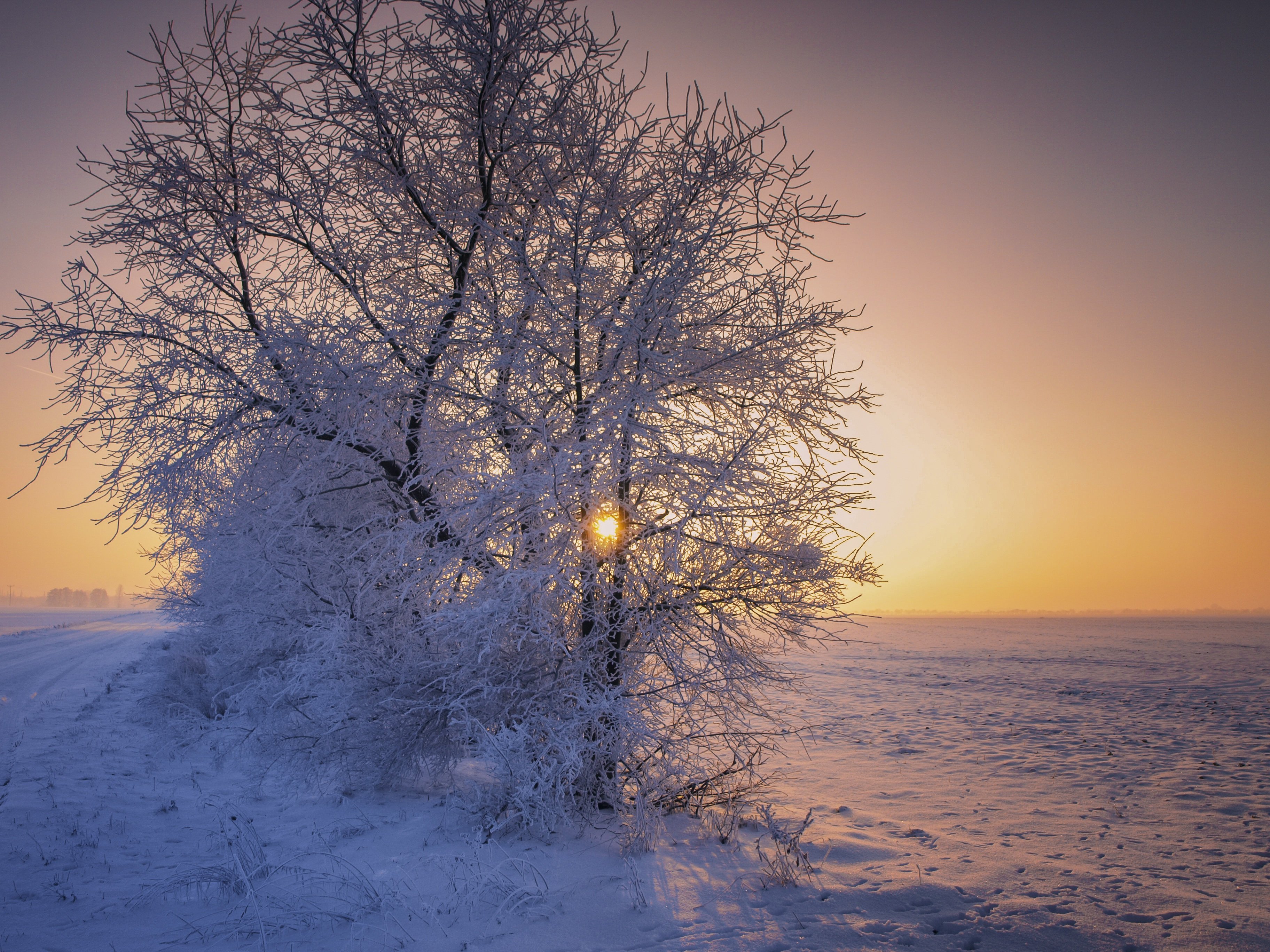 Зимнее утро. Солнце зимой. Зимний пейзаж. Зимний закат. Зимний рассвет.