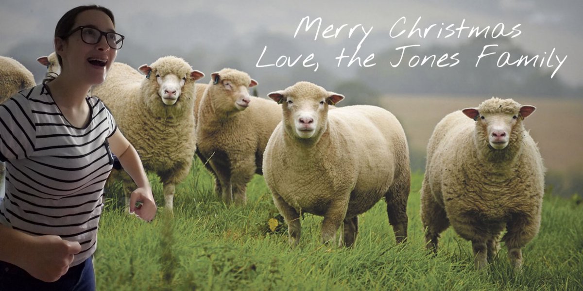 Сельское хозяйство овцы