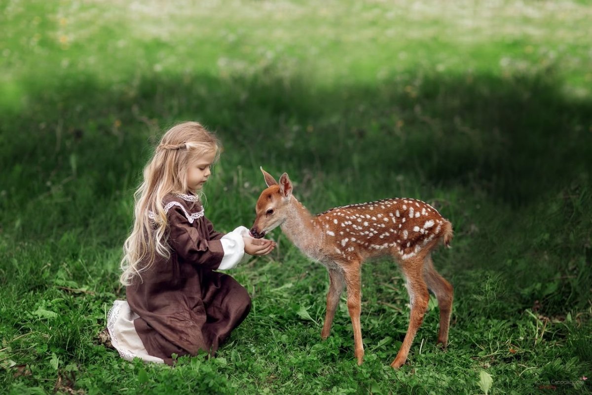 Олененок Бэмби с отцом