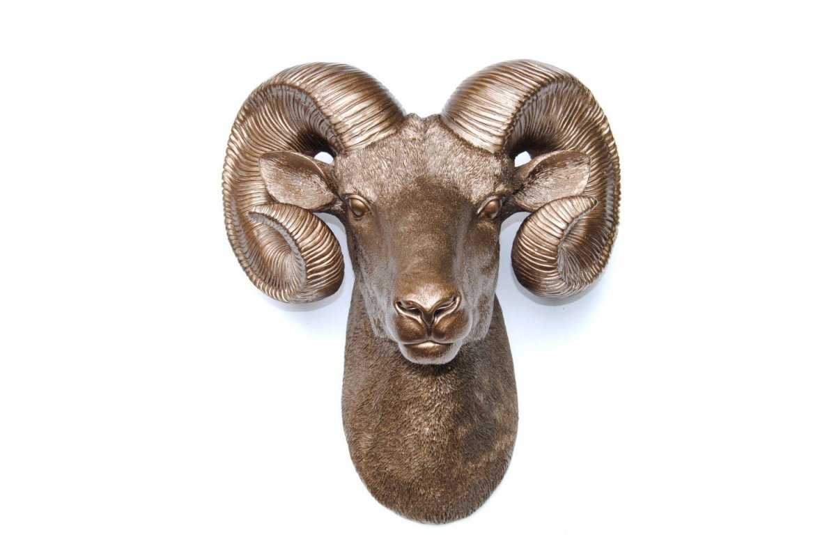 Голова барана