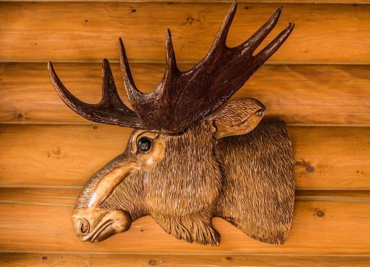 Голова лося