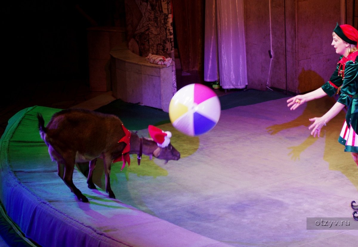 Театр зверей Артемон