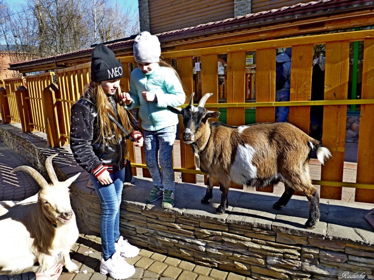 Музей козы Самара