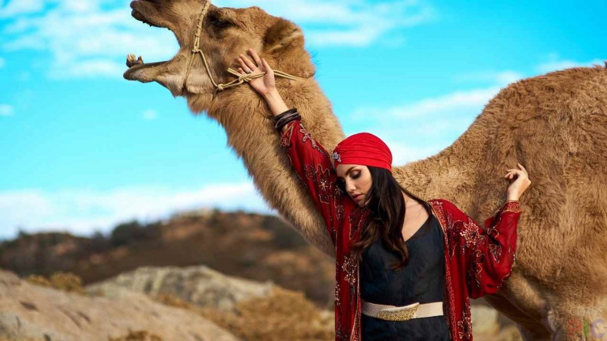 Худой верблюд