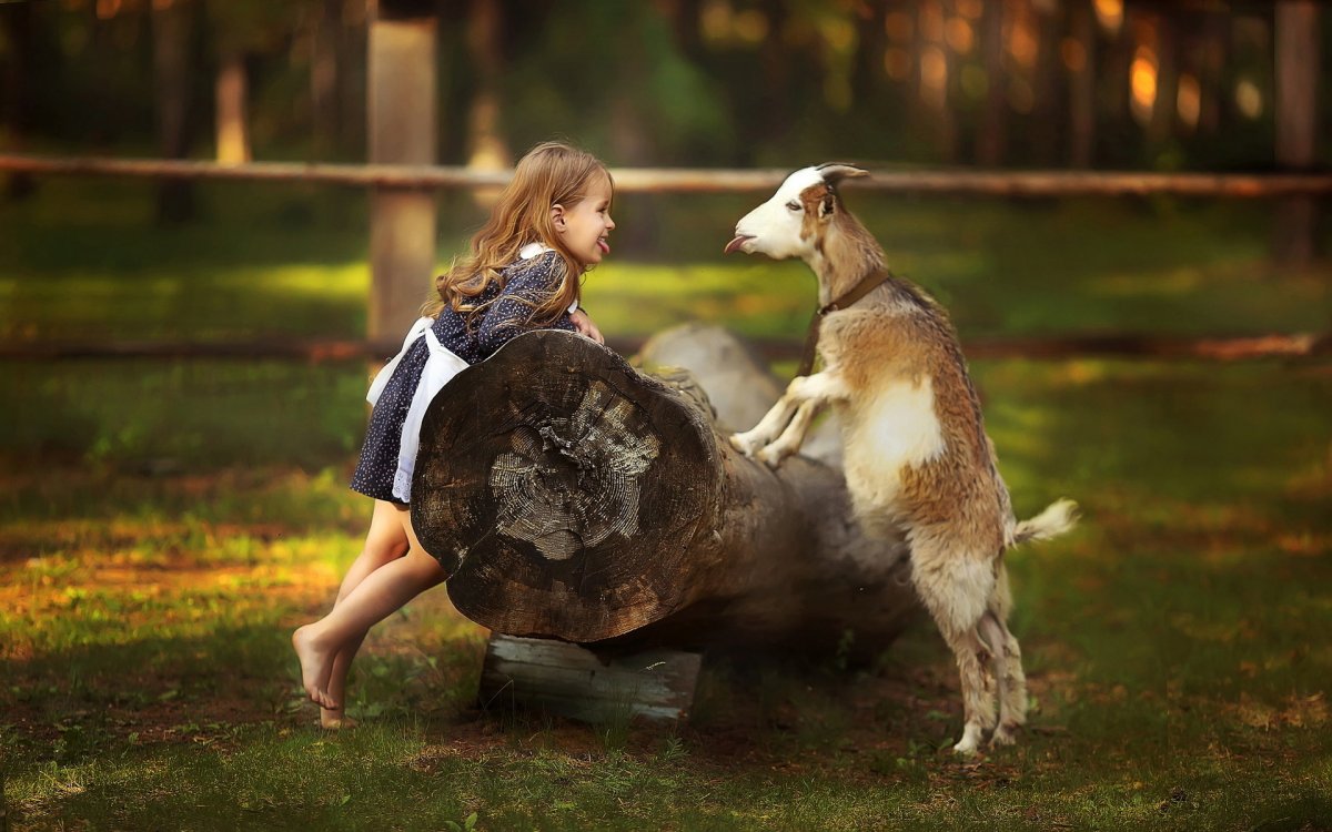 Фотосессия с козлятами на природе