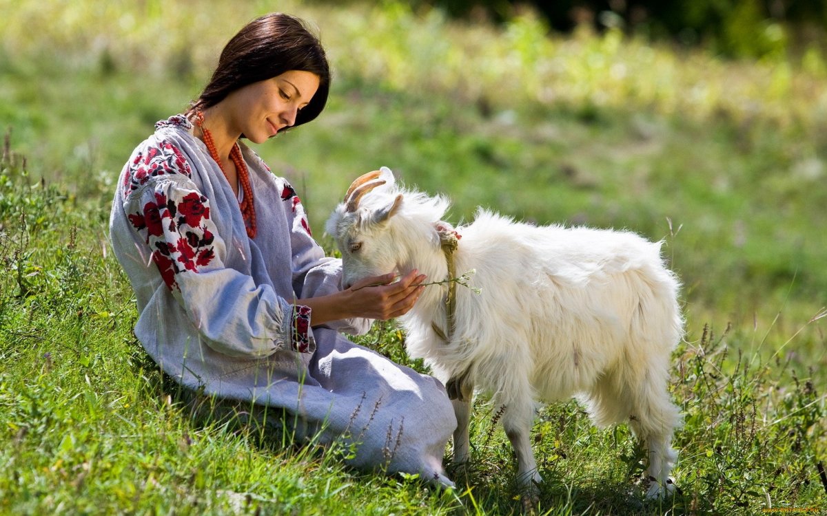 Верхом на козе