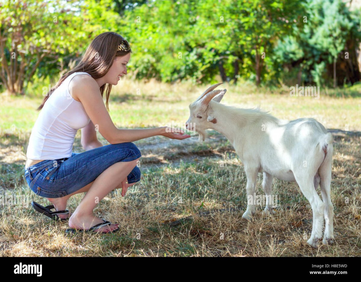 Девочка пасет козу