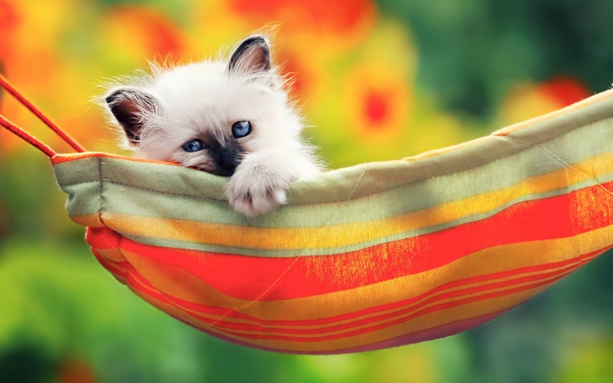 Самые позитивные картинки