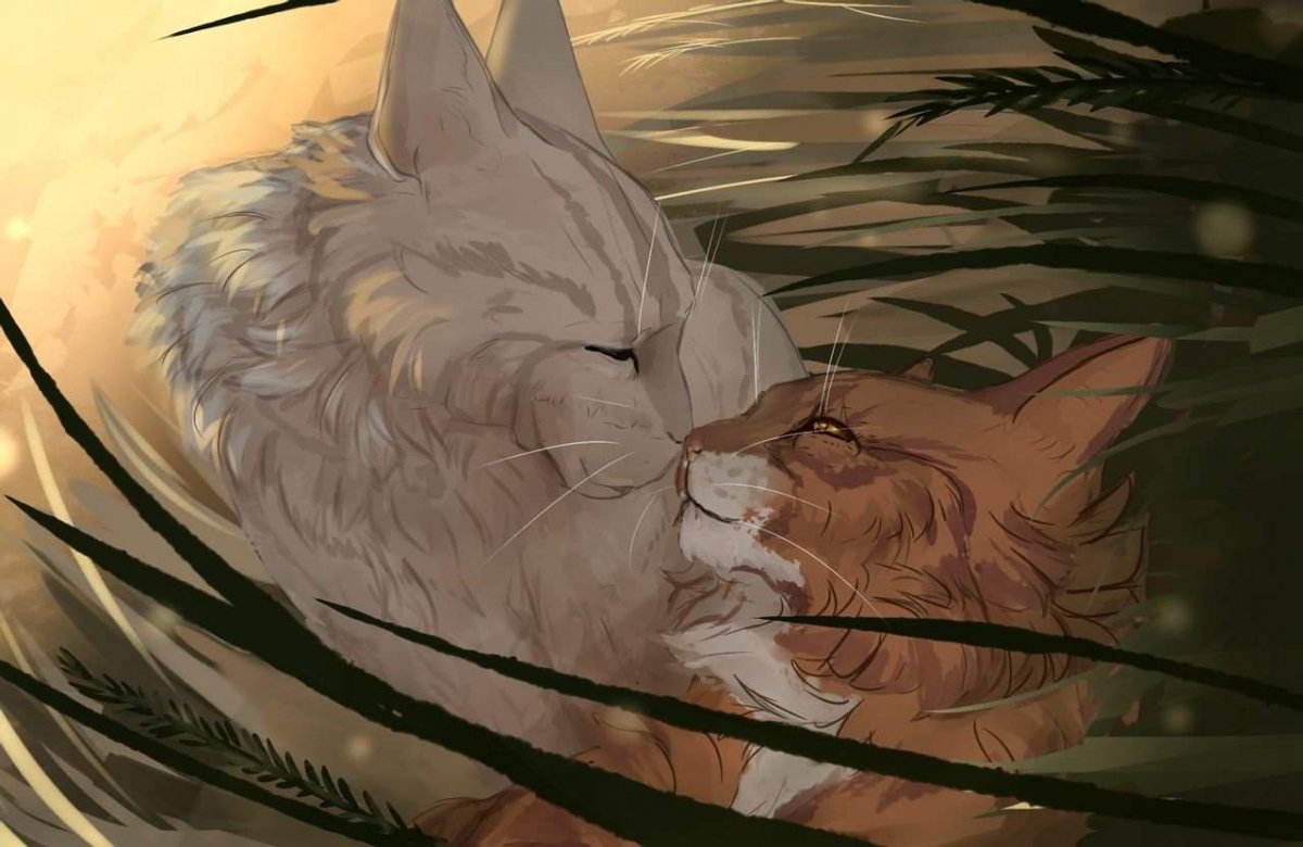 Heathertail коты Воители