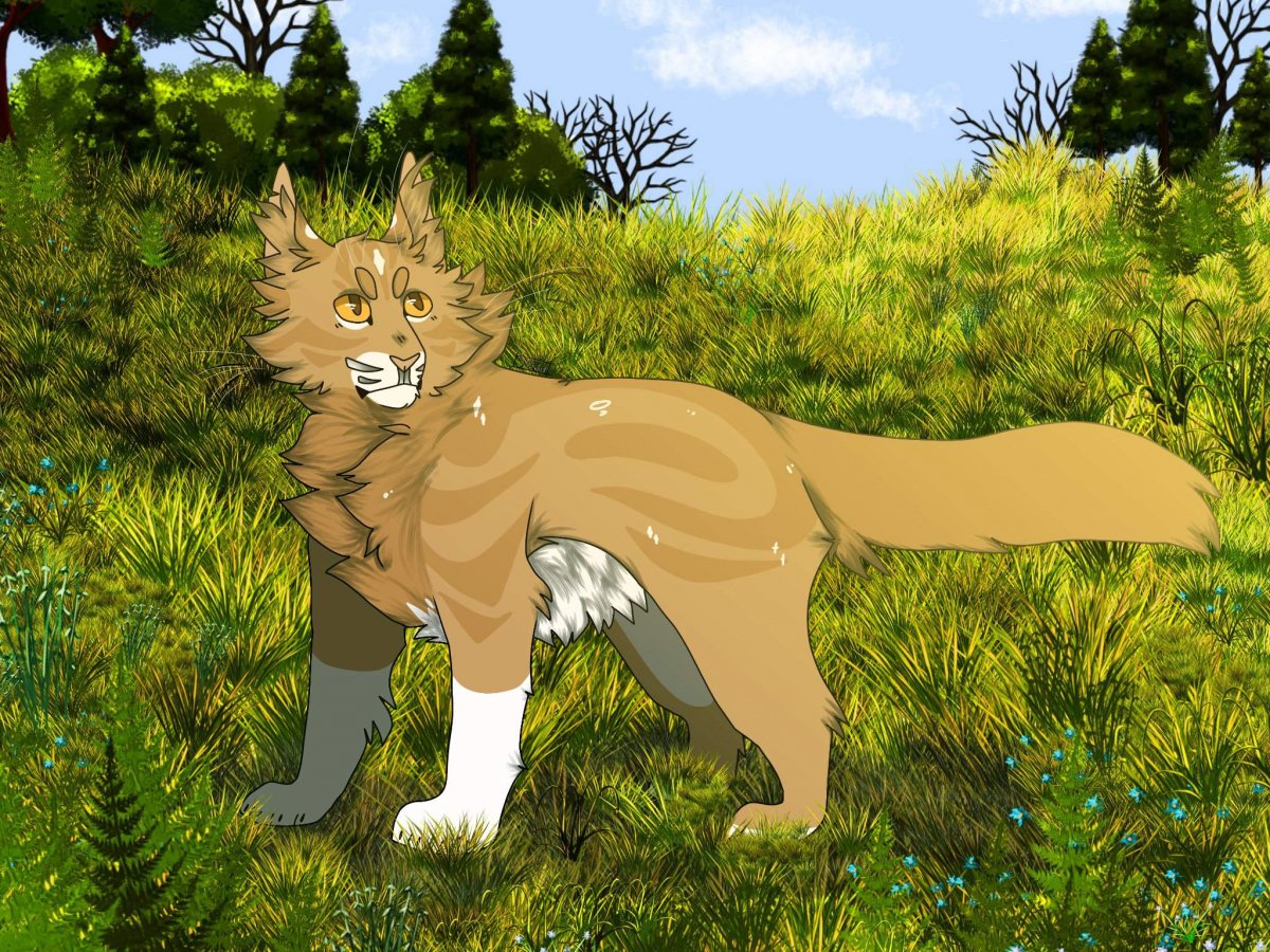 Коты Воители синяя звезда Эстетика